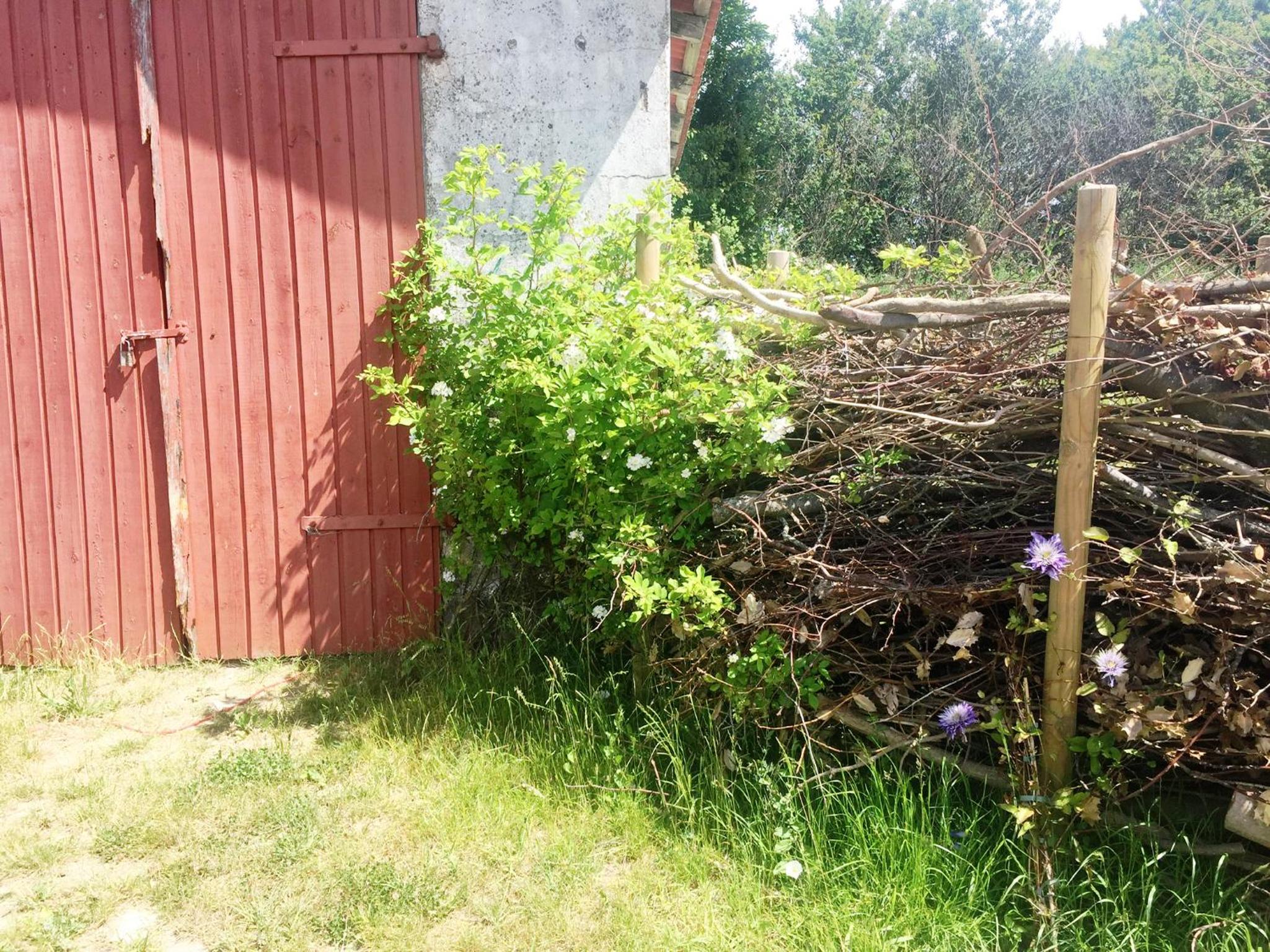 Photo 31