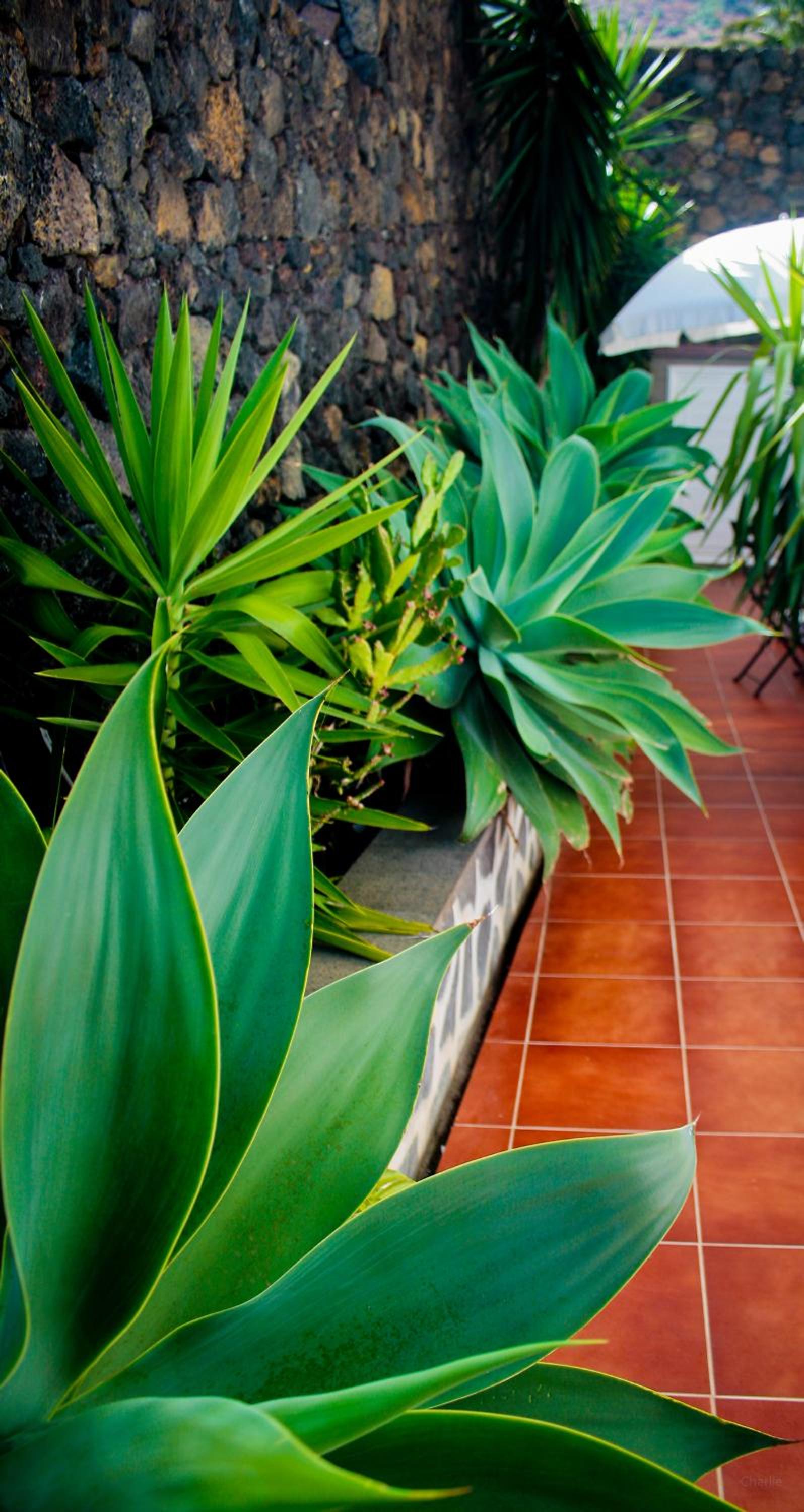 Apartamentos Los Verodes