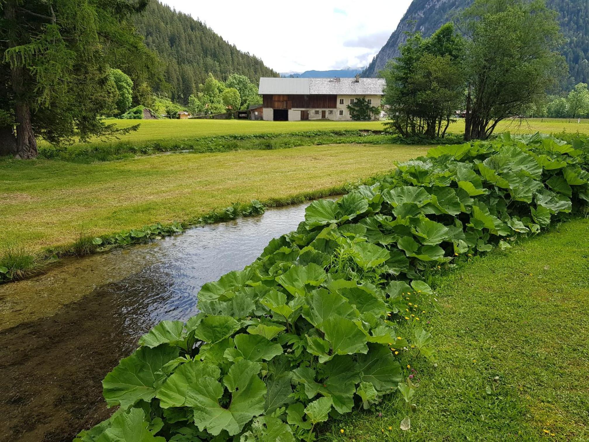 Photo 11