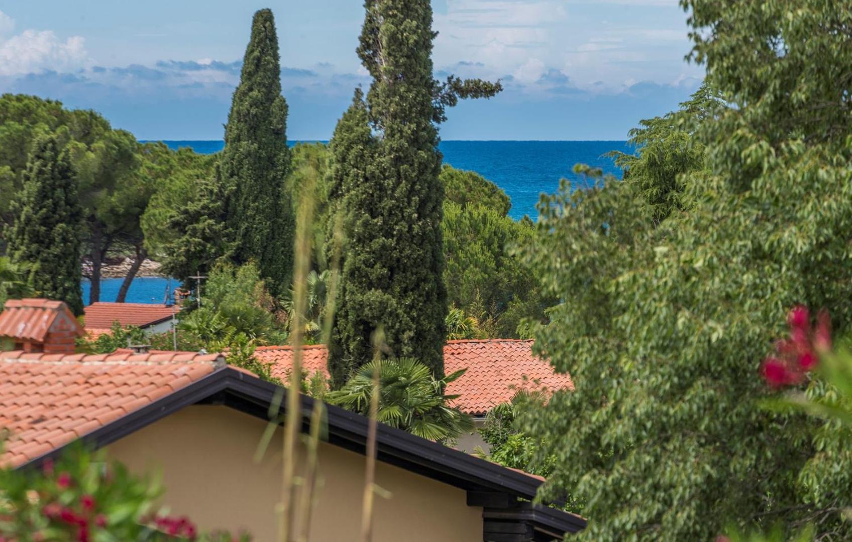Apartment Raul in Dajla view 4