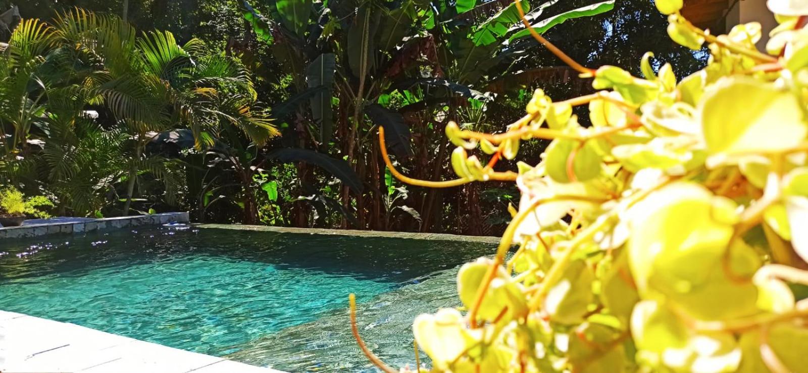 Haleiwa chalés e suítes - A Guest House do Prumirim