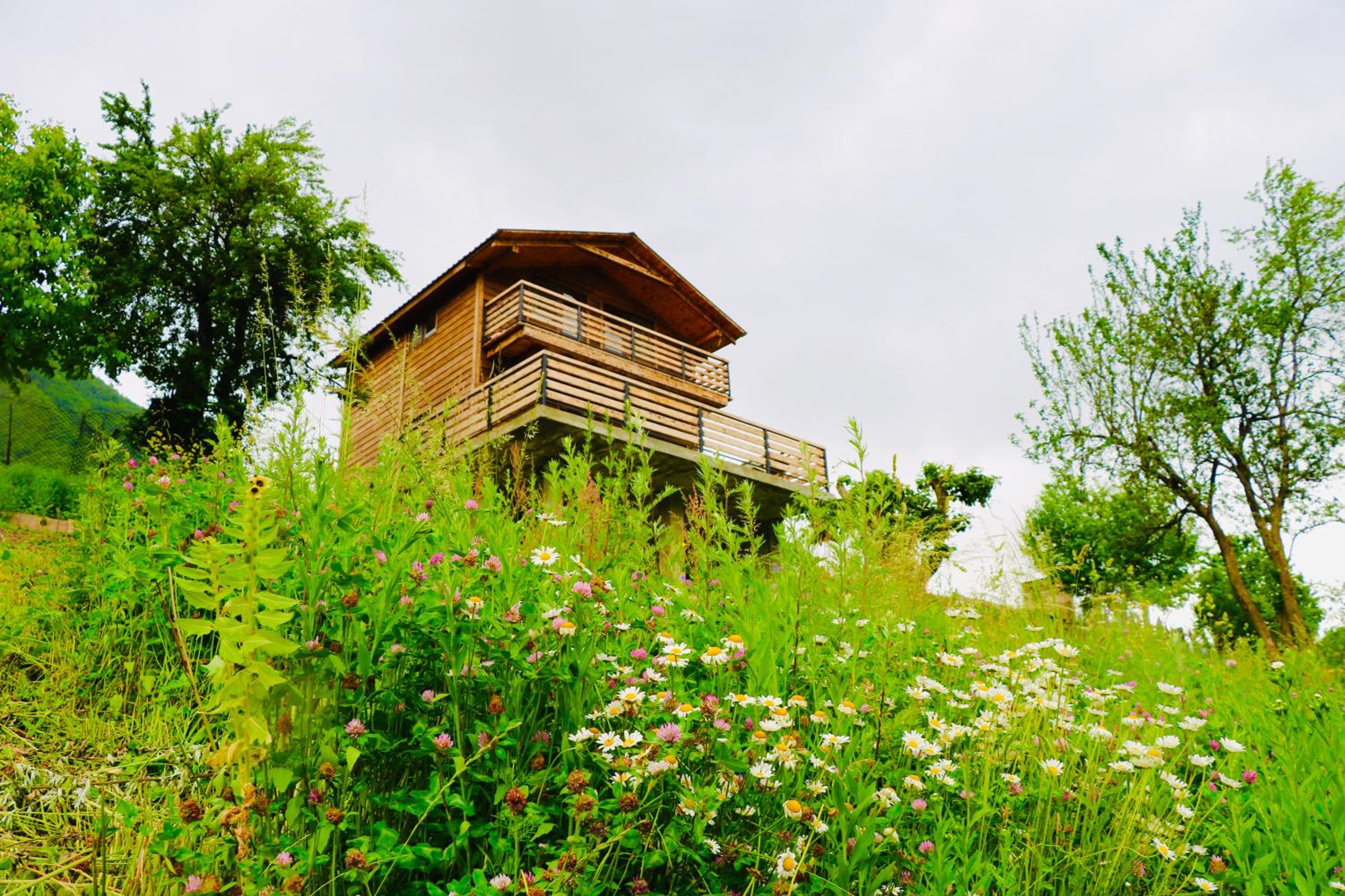 Photo 29
