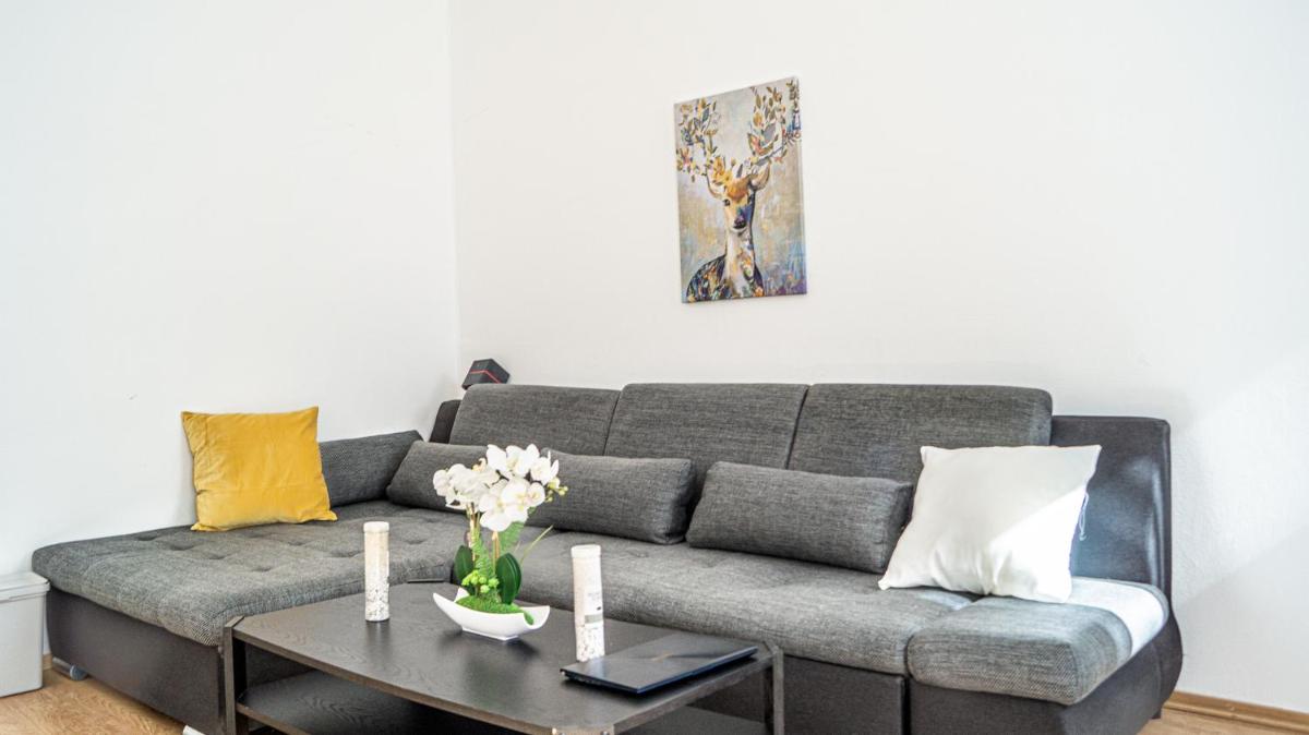 Spacious Shared Apartment Schönbrunn