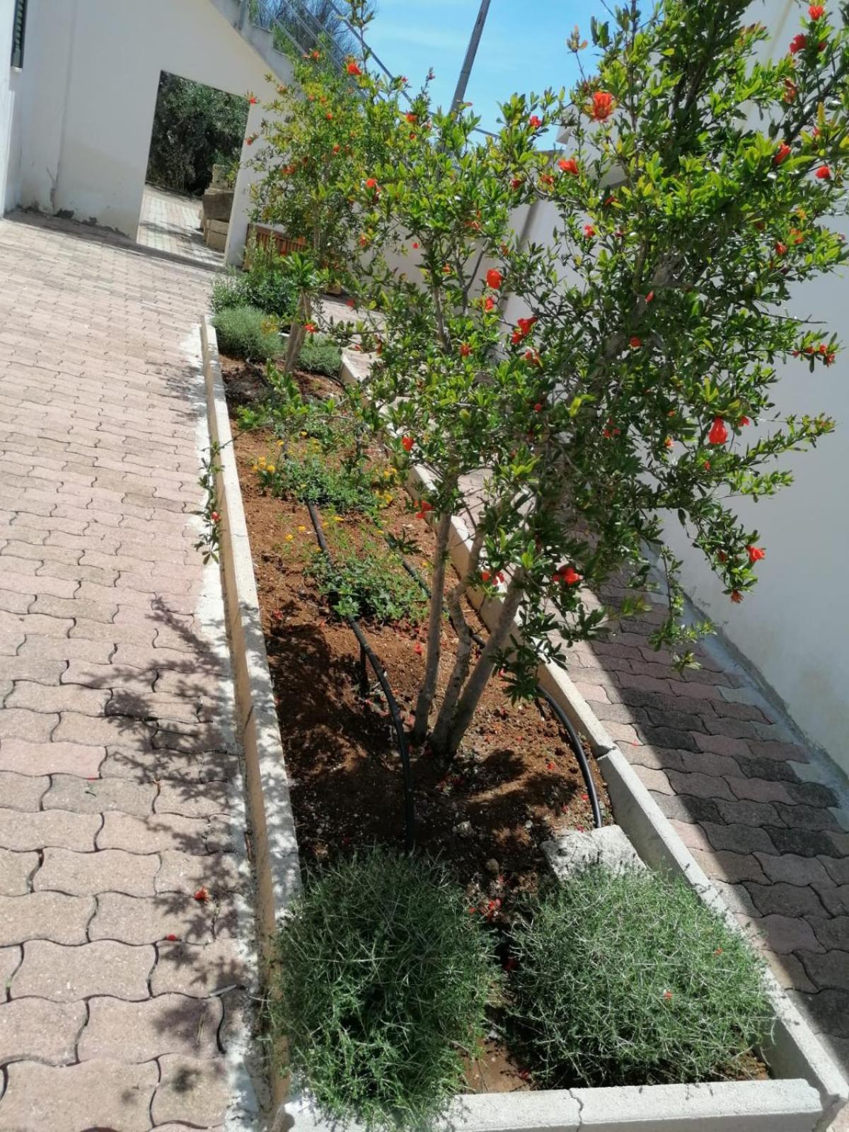 Photo 15