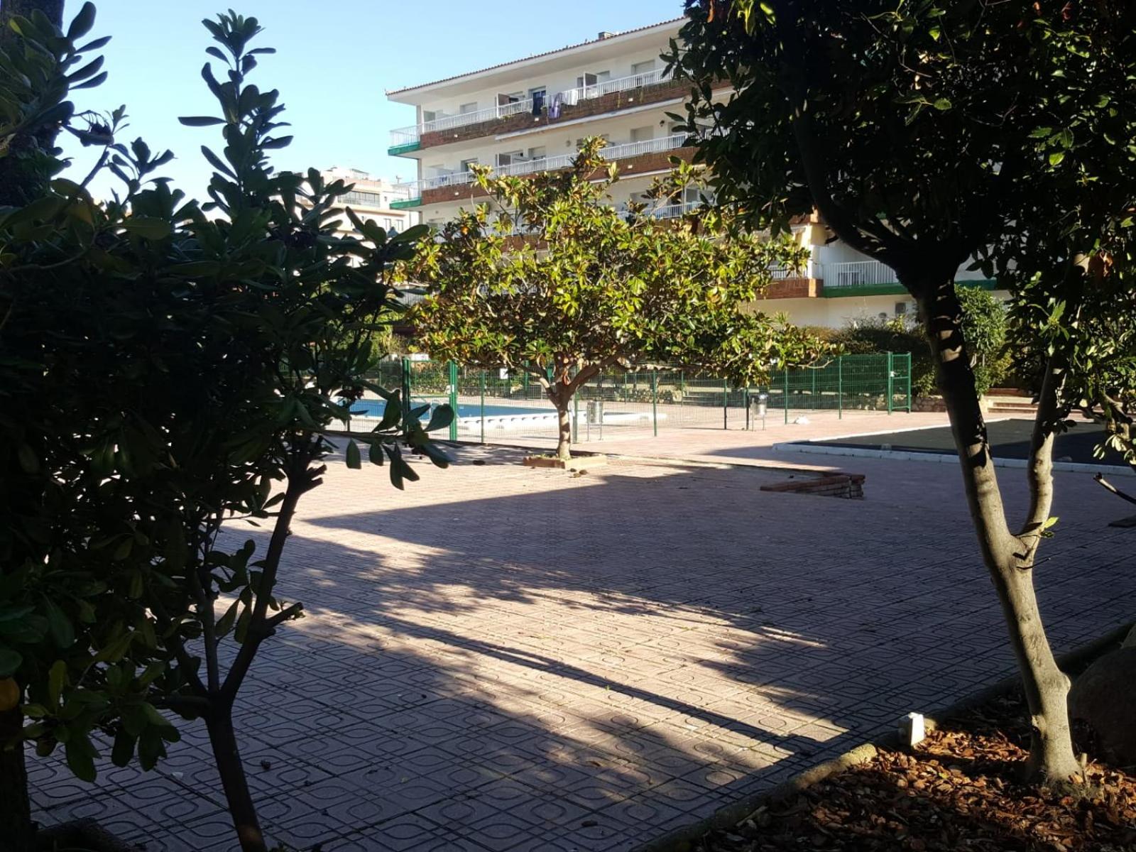 Photo 32