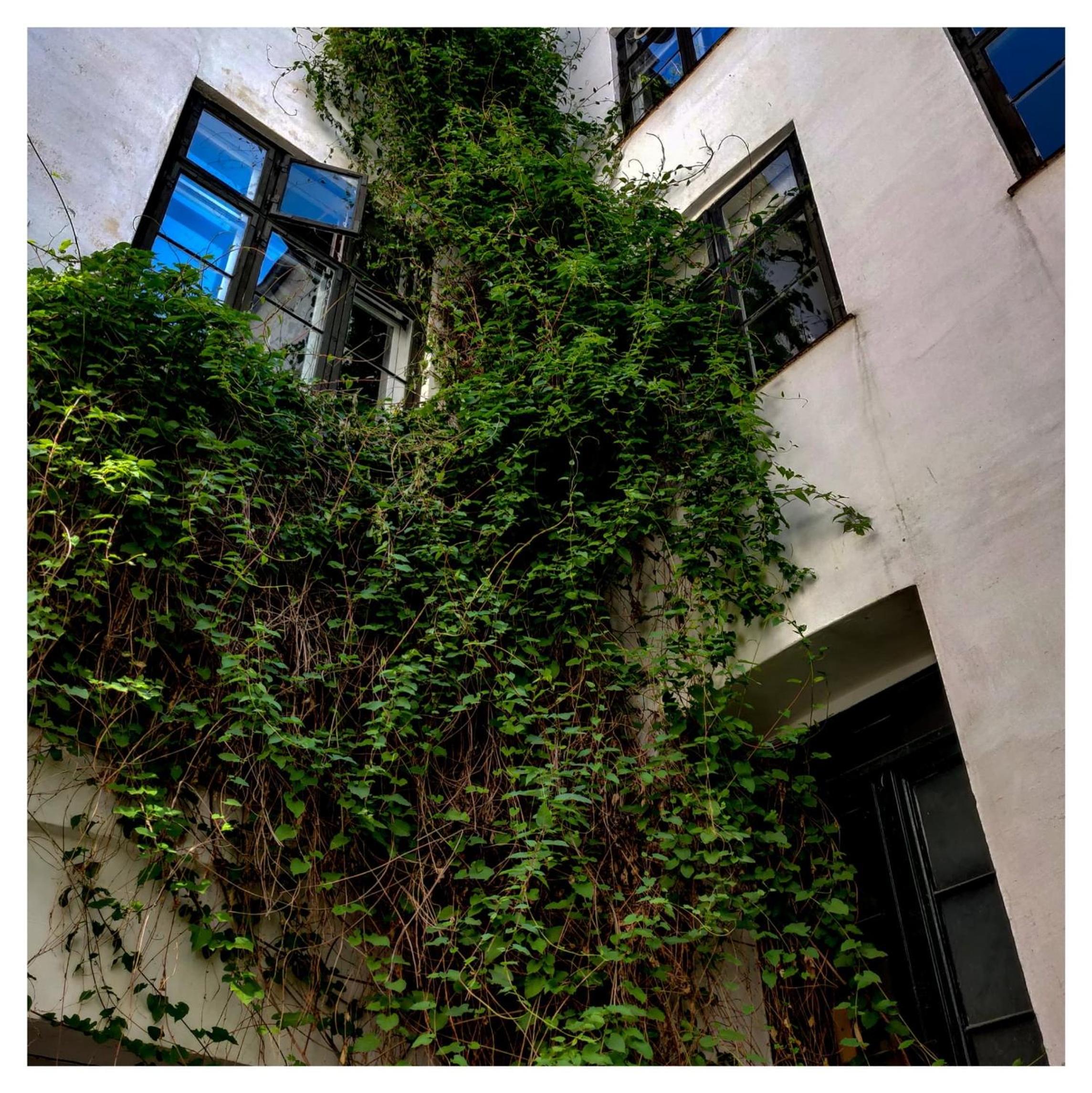 Beautiful Studio Apartment In the Heart of Copenhagen