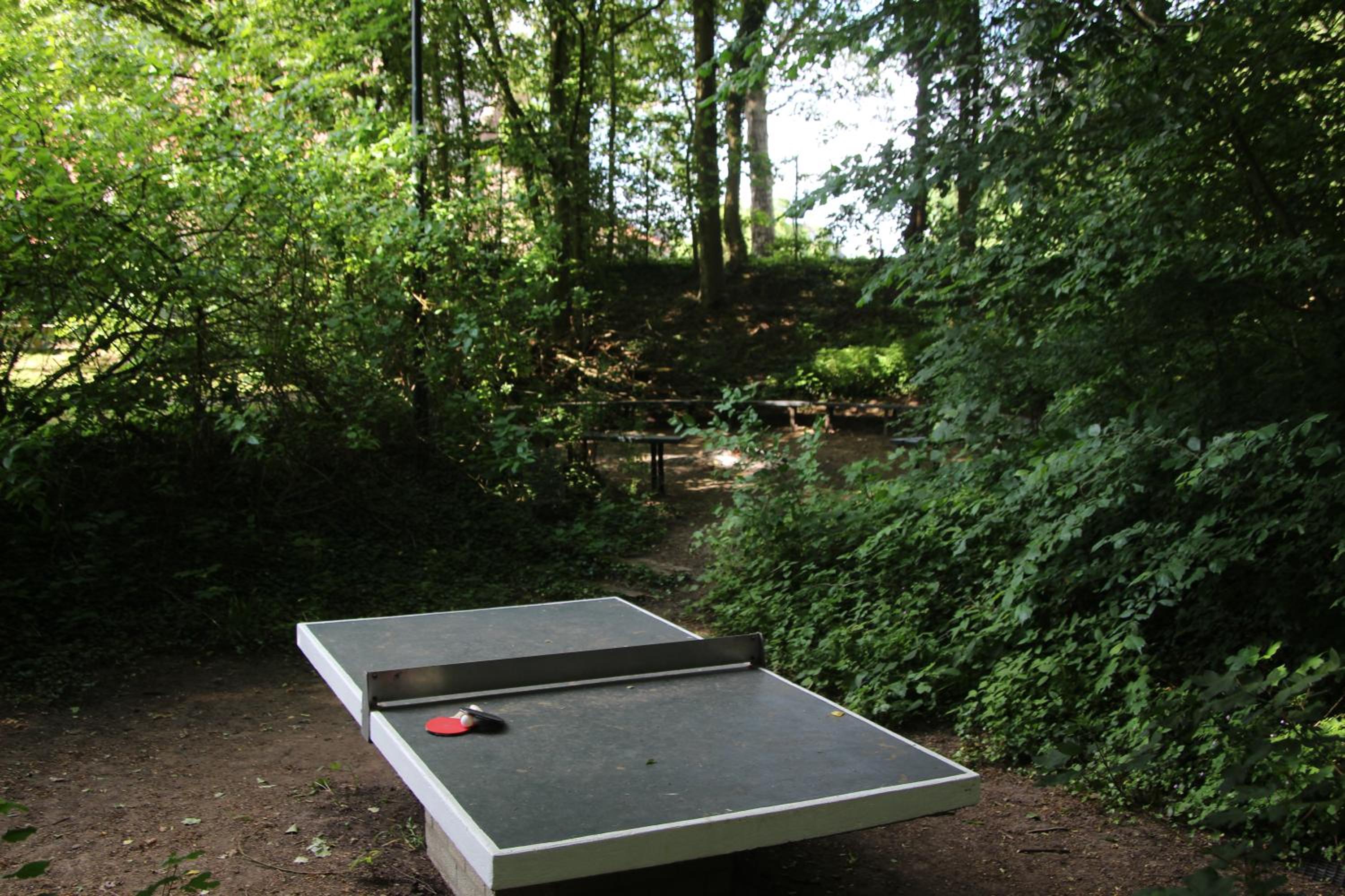 De Biesenberg view 5