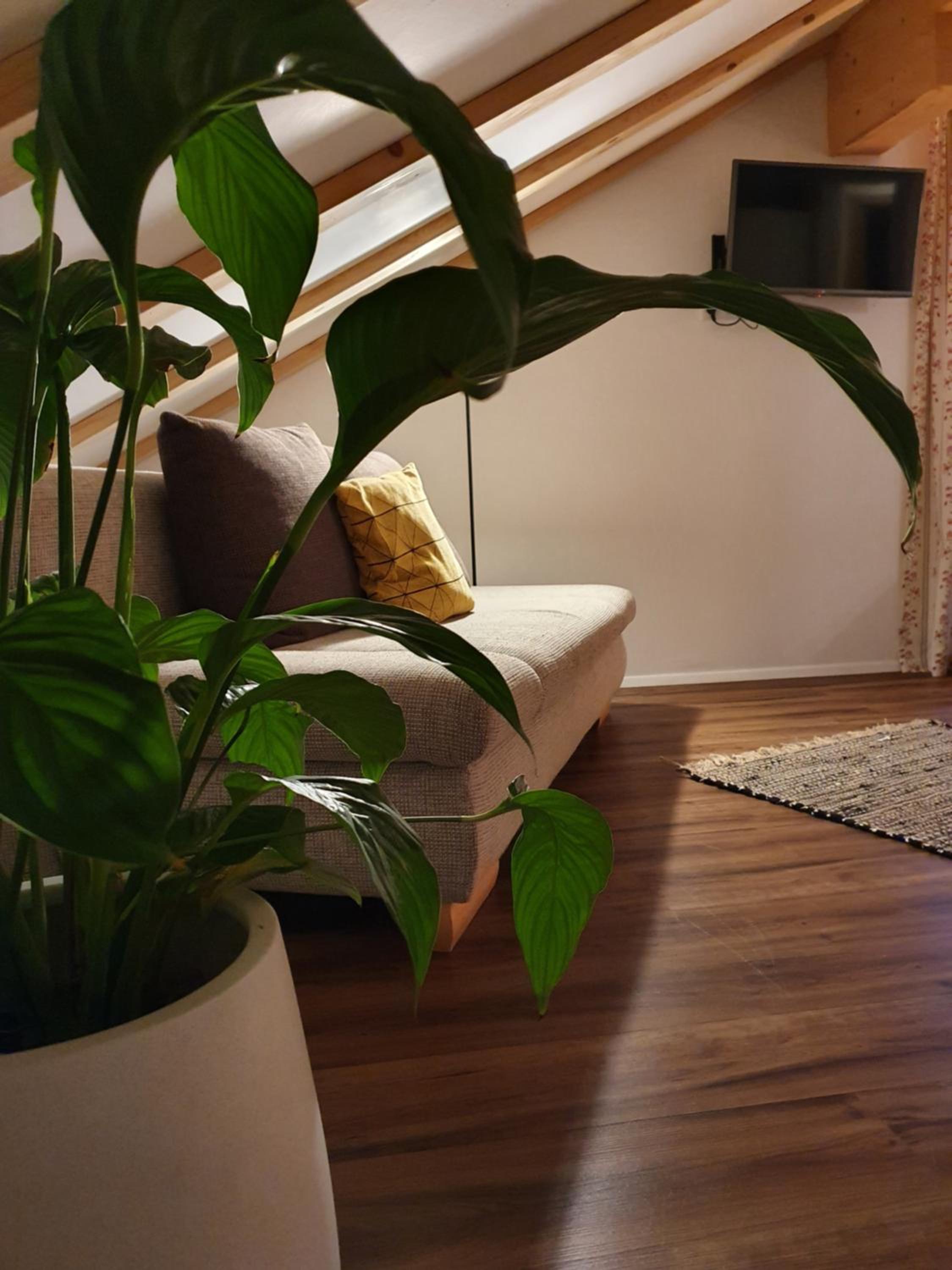 Ferienwohnung Leuner