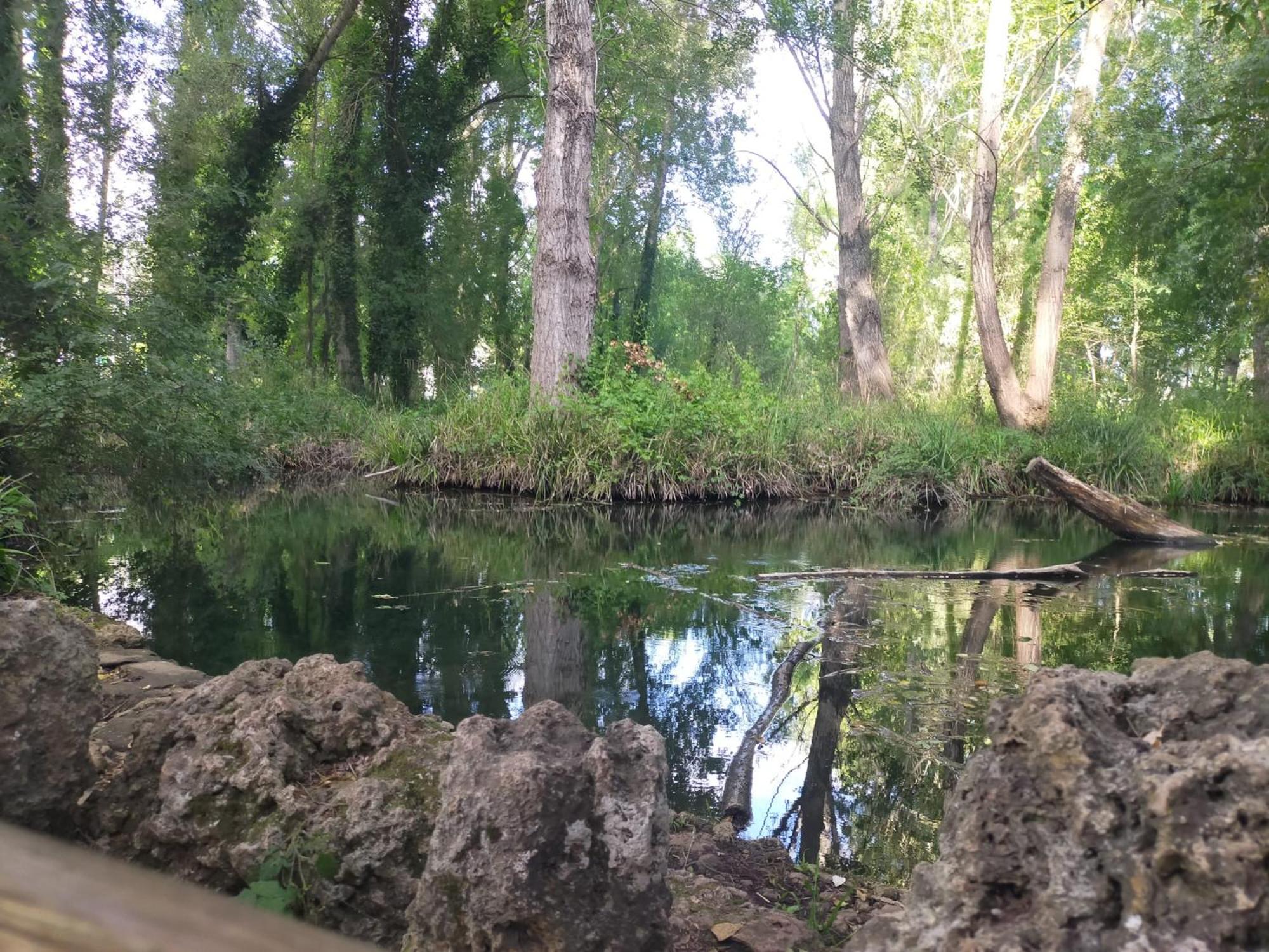 Casa Rural Nacimiento del Huéznar - Tomillo 23