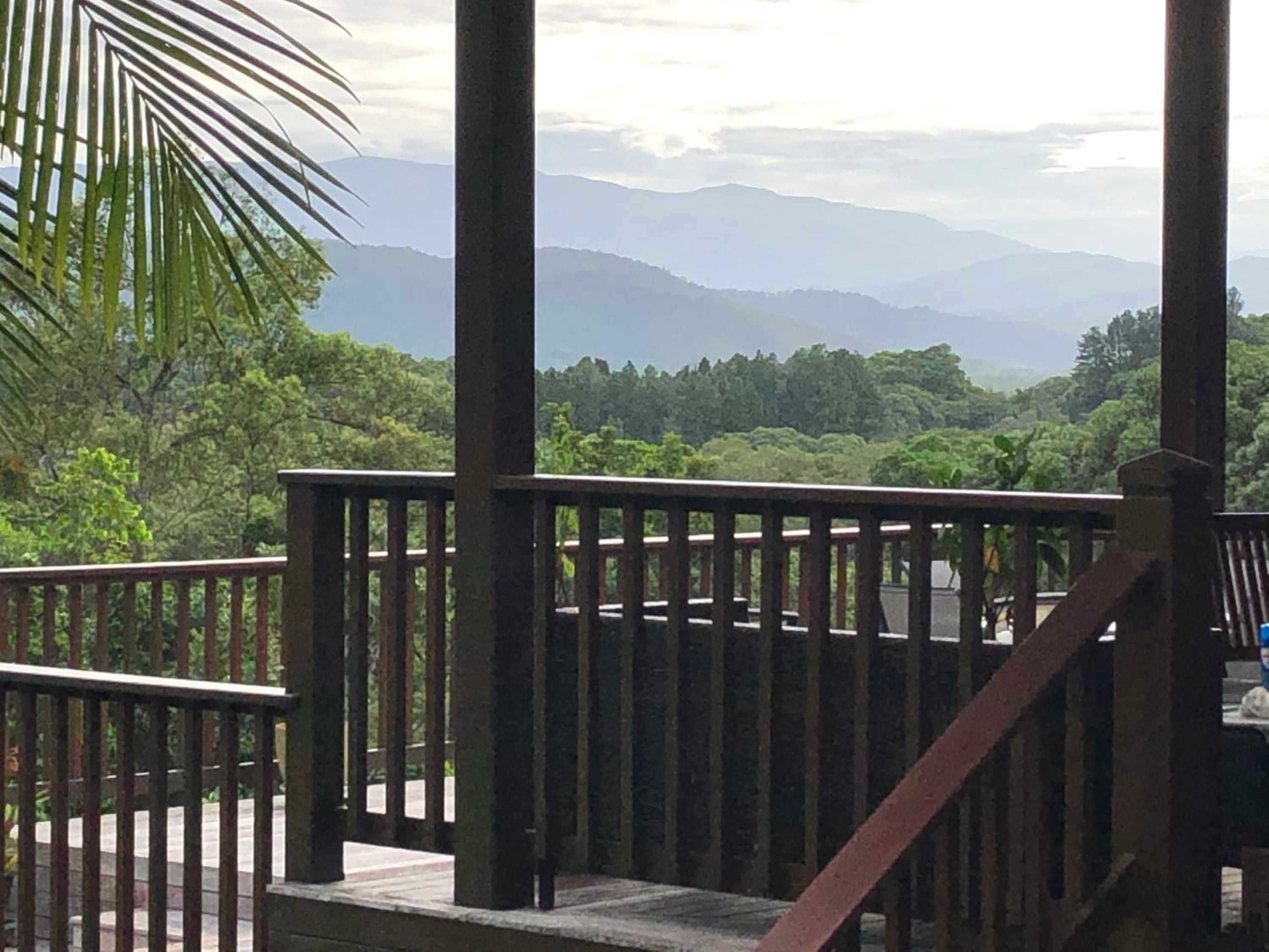 daintree valley cottage