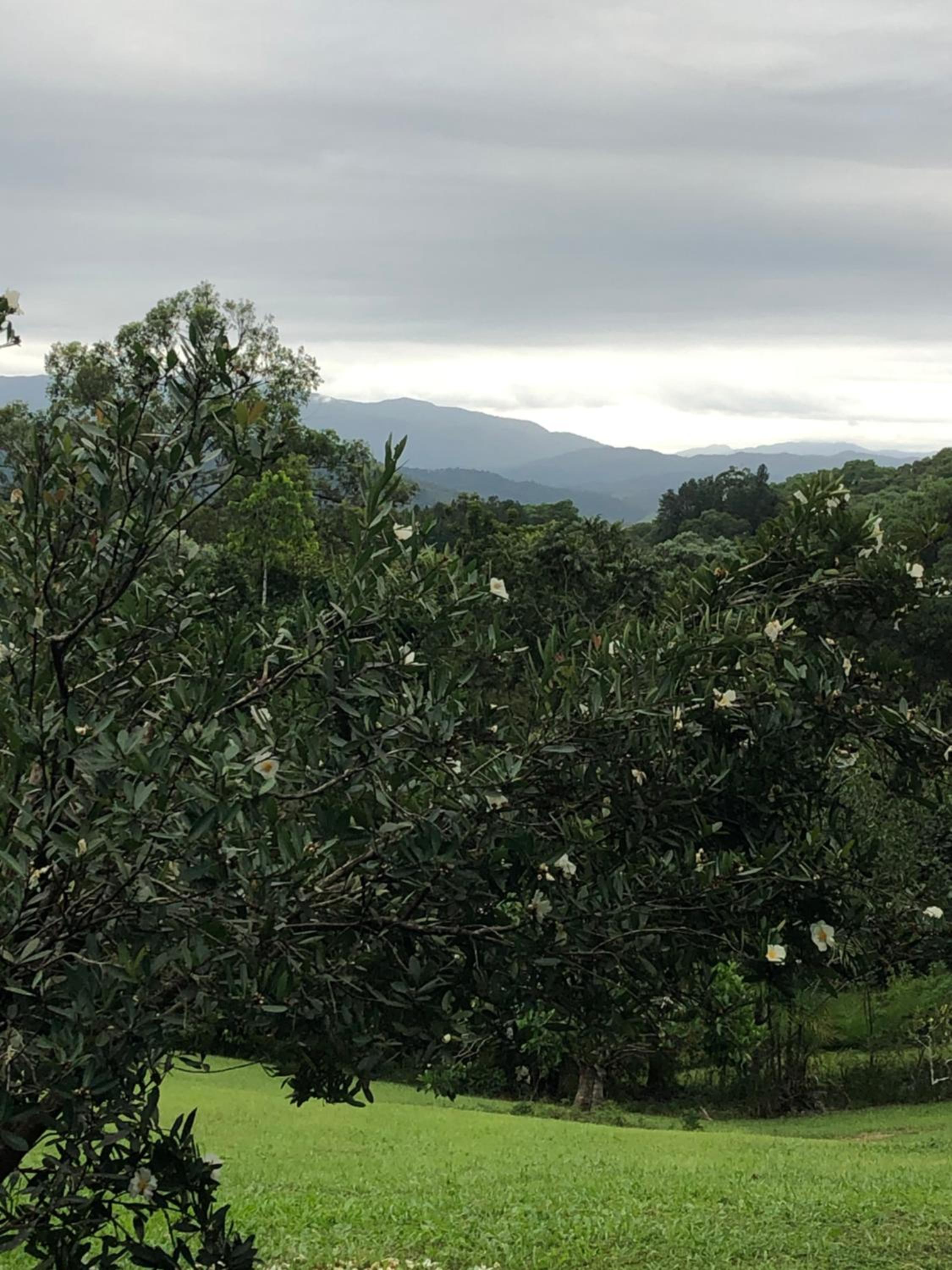daintree valley cottage