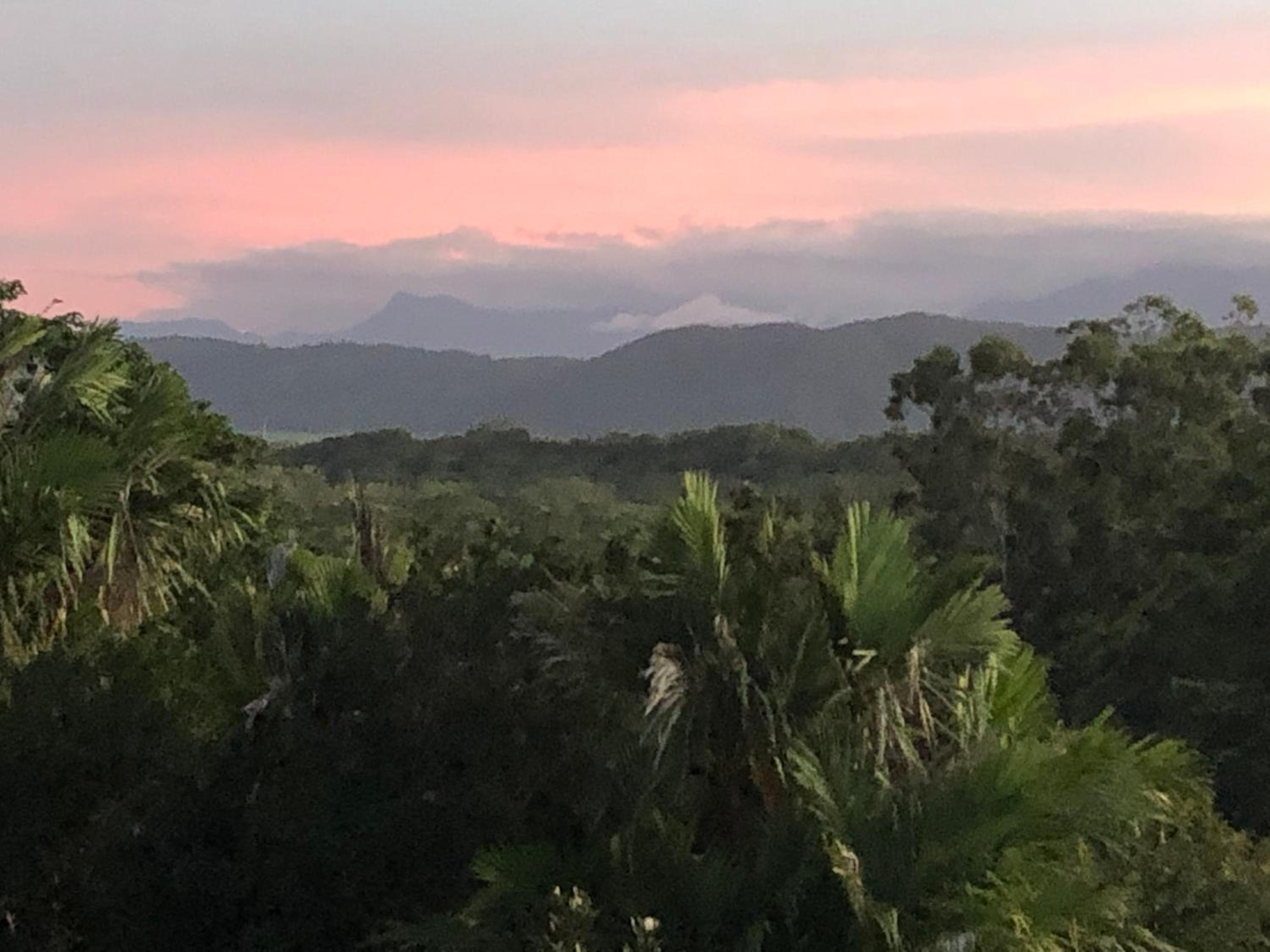 daintree valley cottage