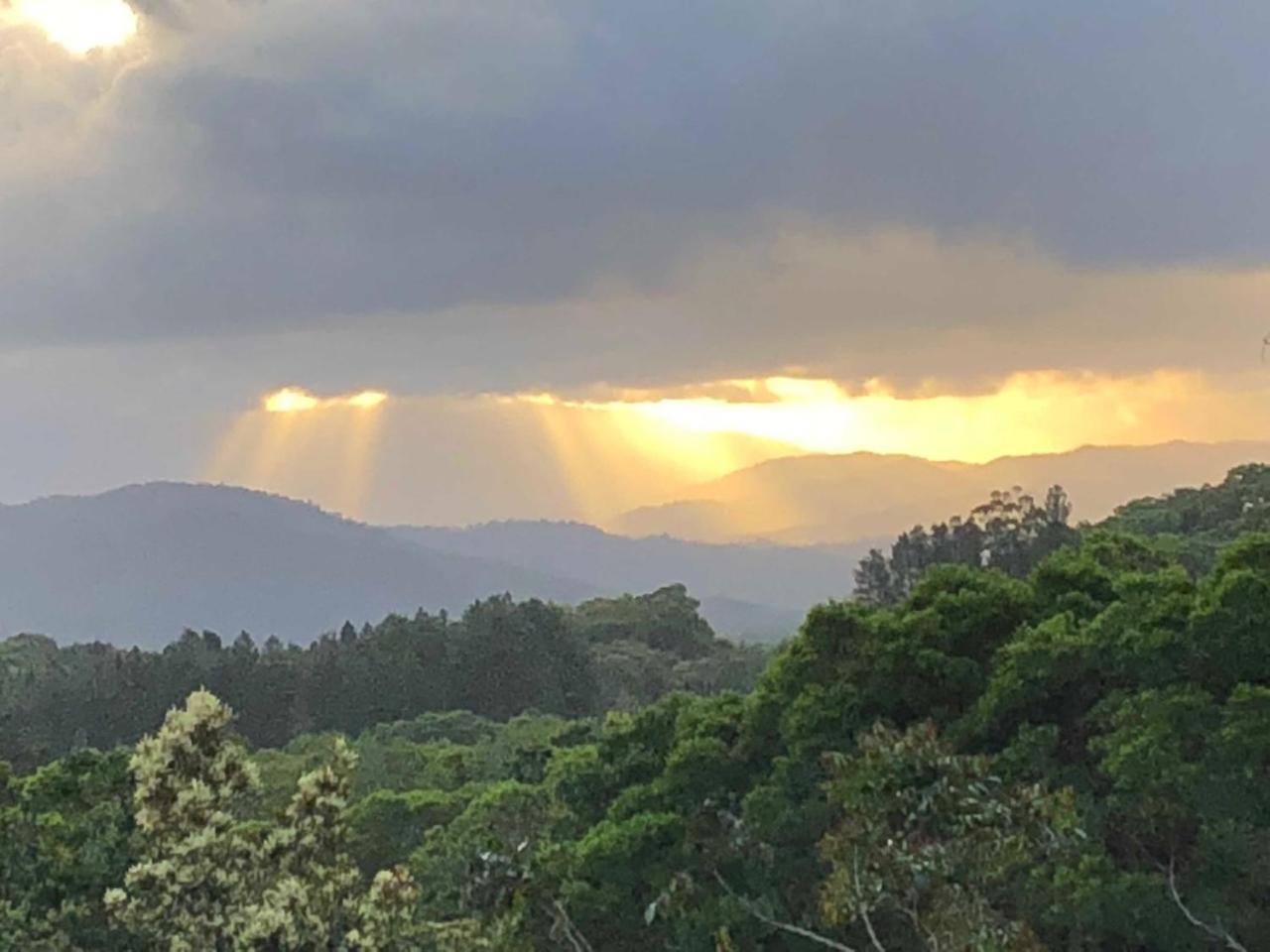 daintree valley cottage