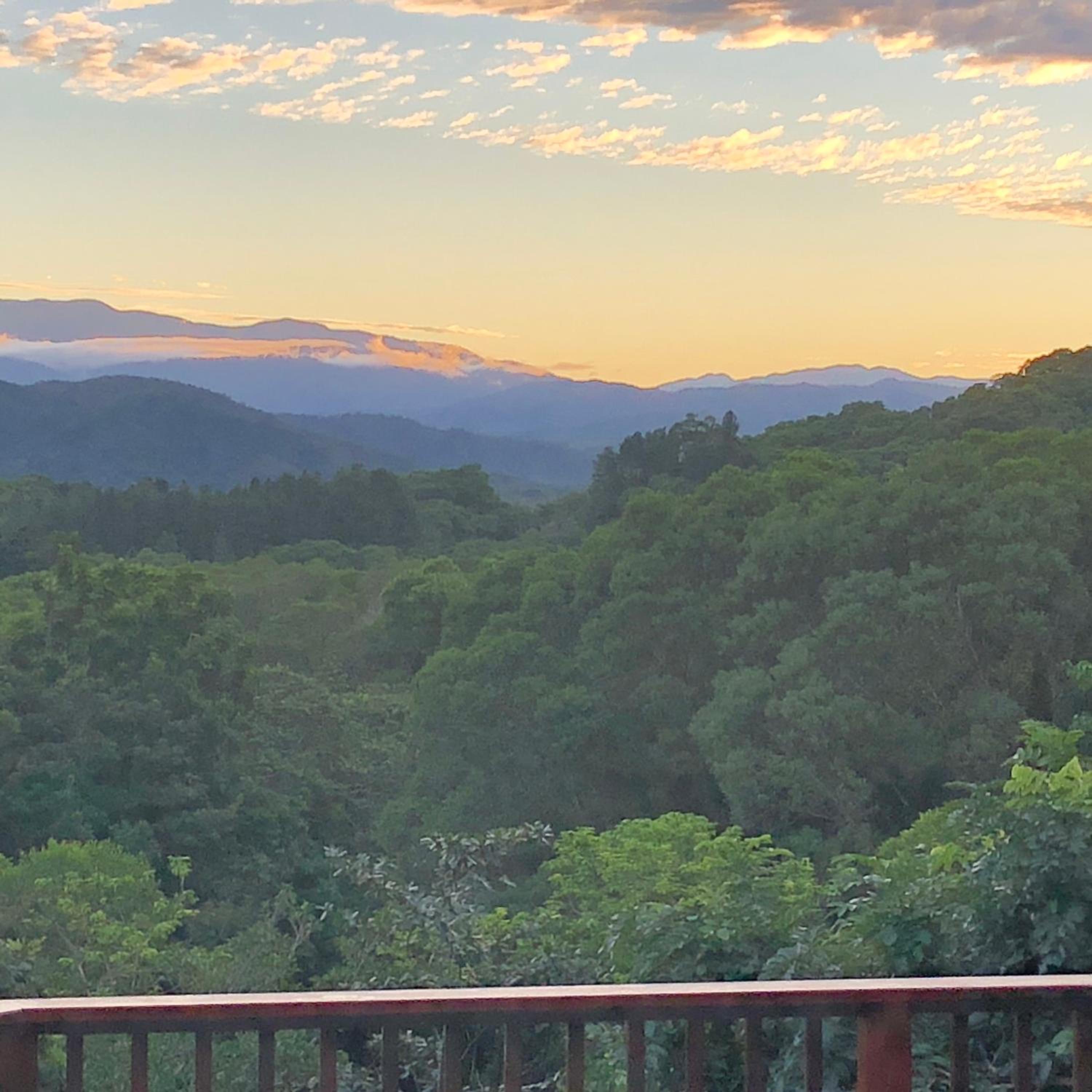 daintree valley cottage