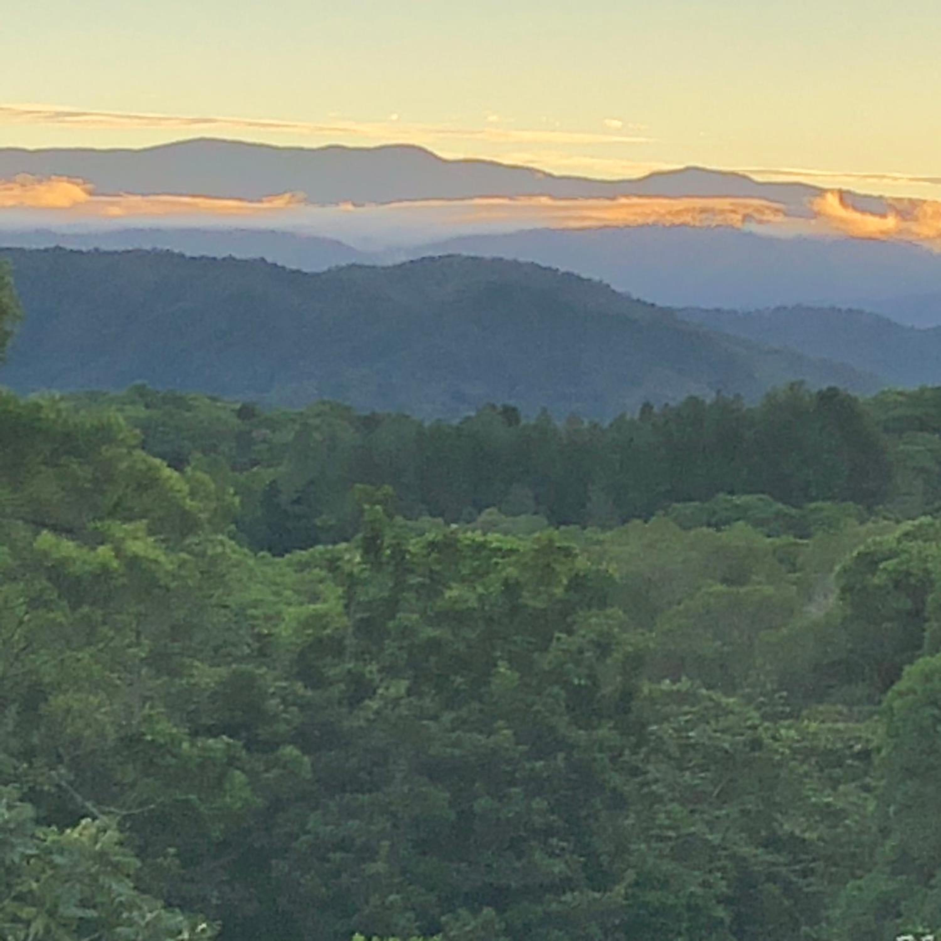 daintree valley cottage