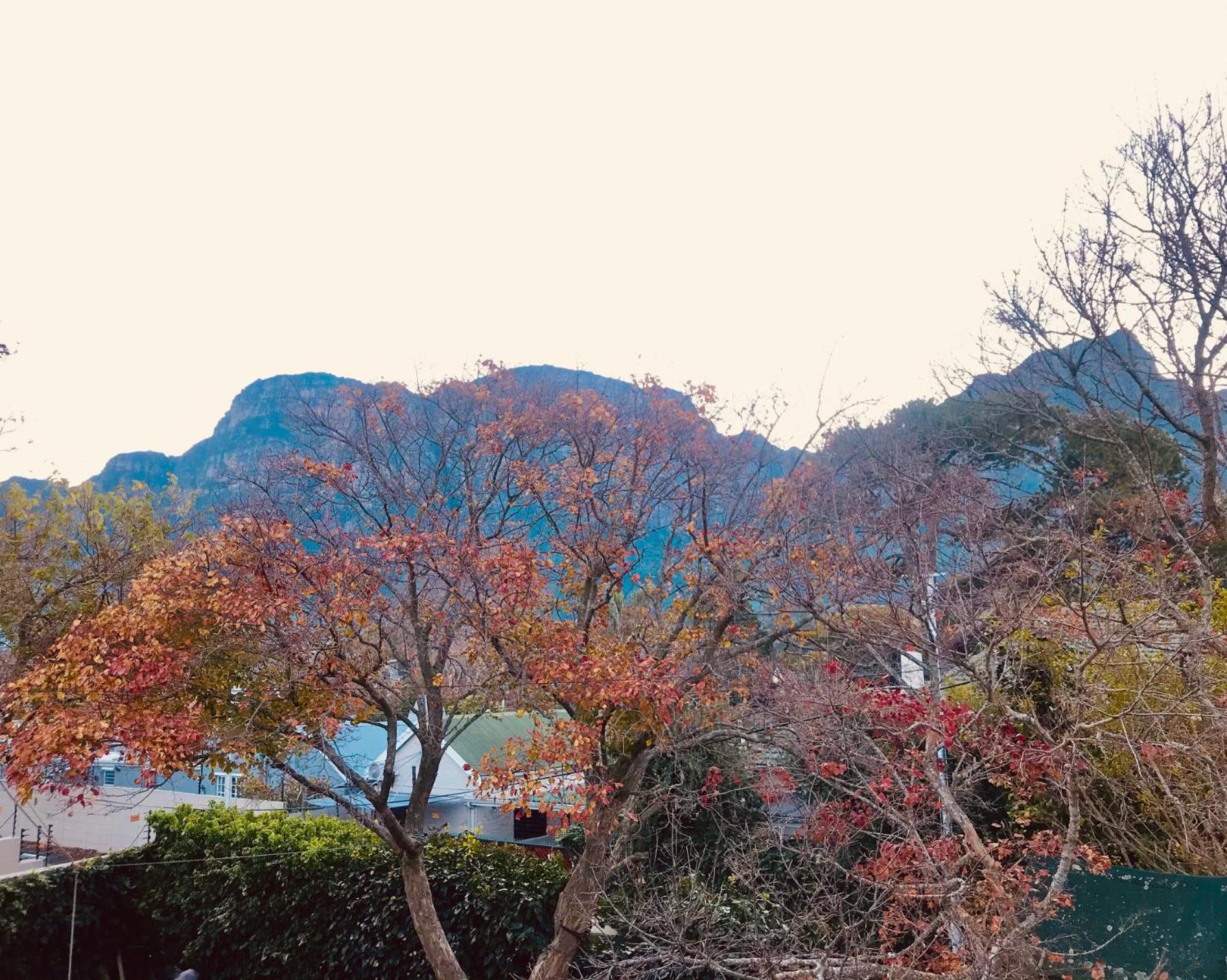Authentic Newlands
