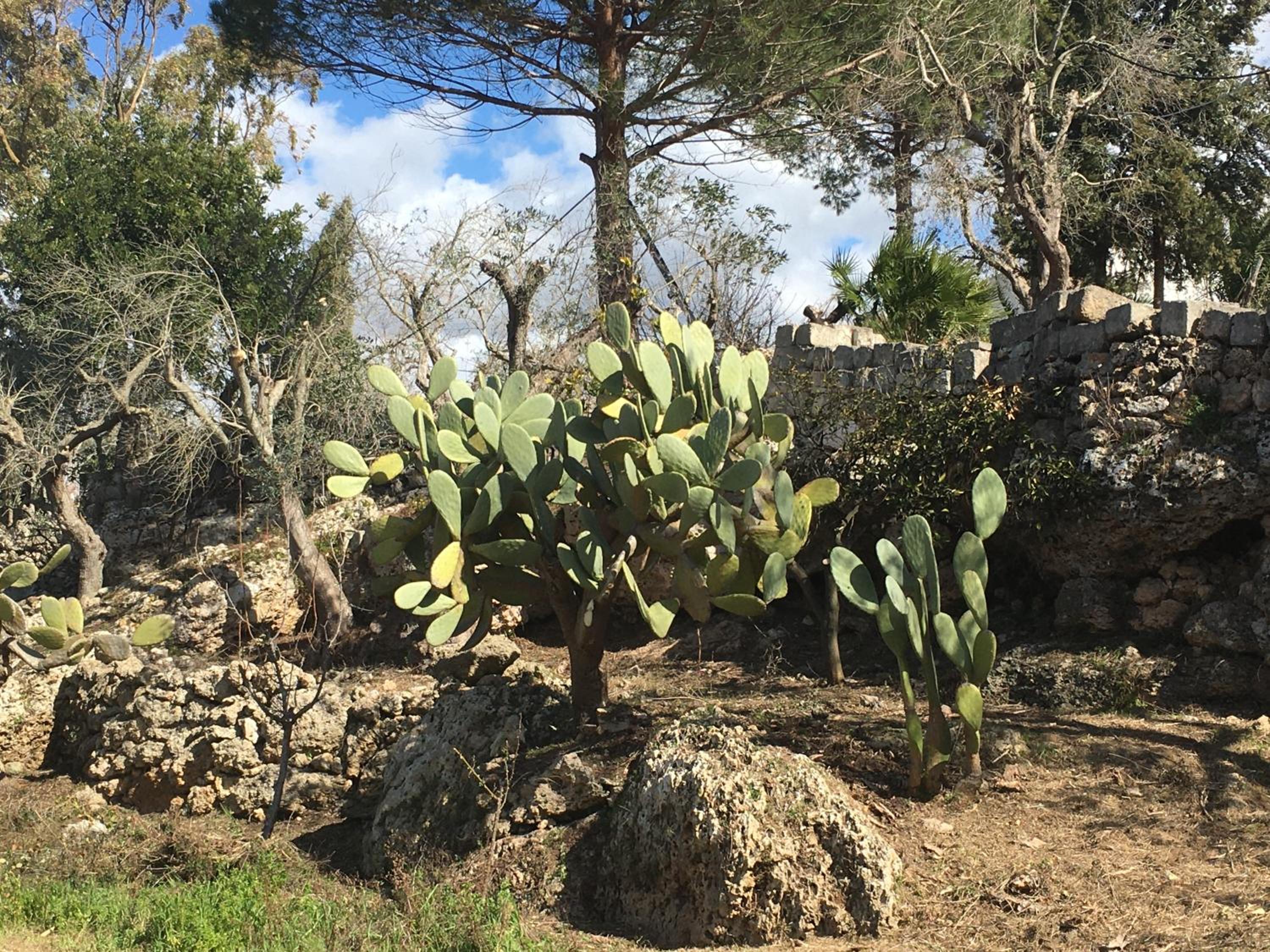 Photo 47