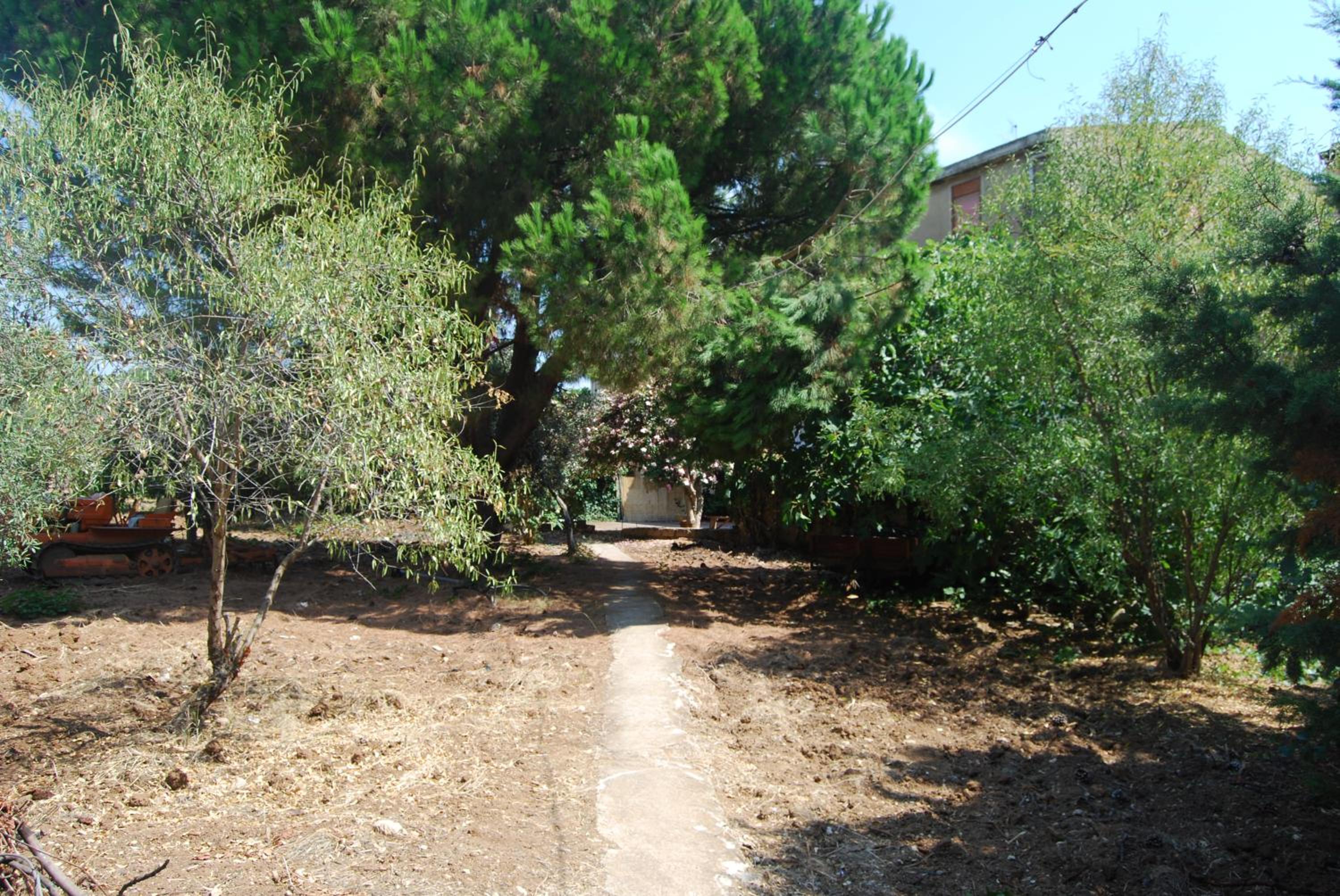 Photo 76