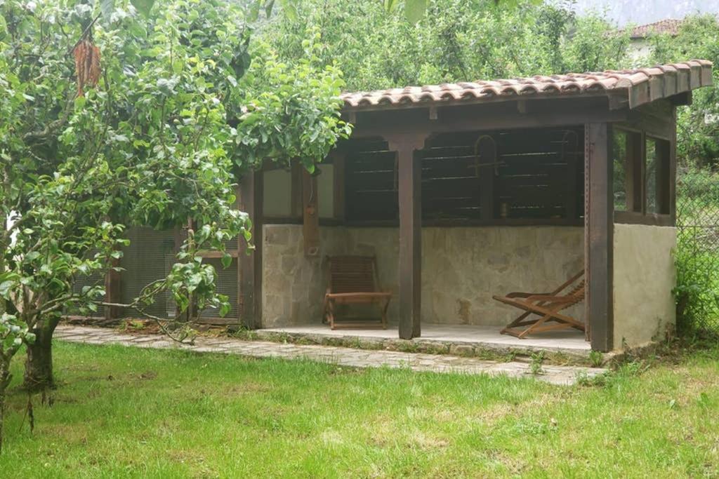 Photo 16