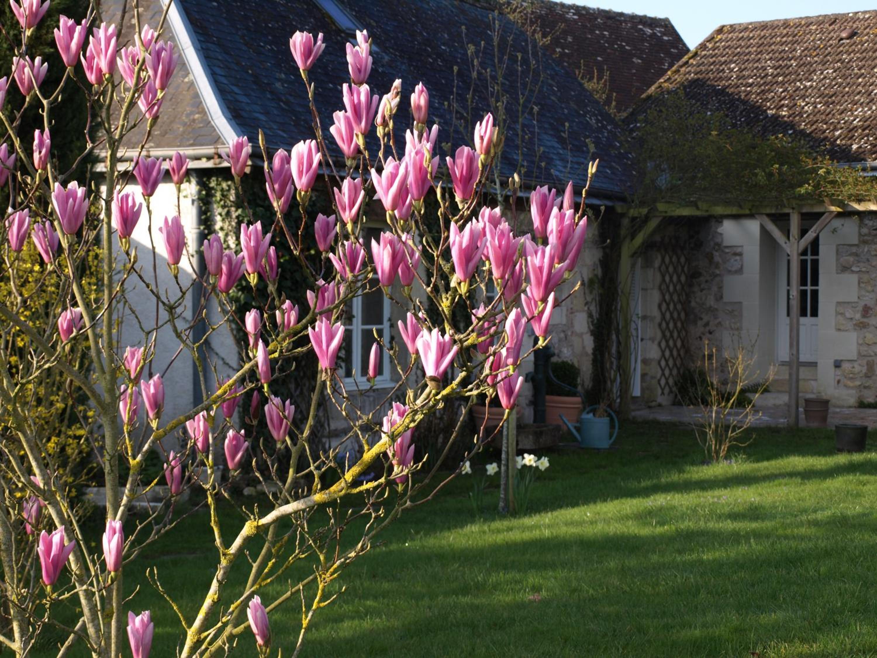 Le Petit Villandry view 3