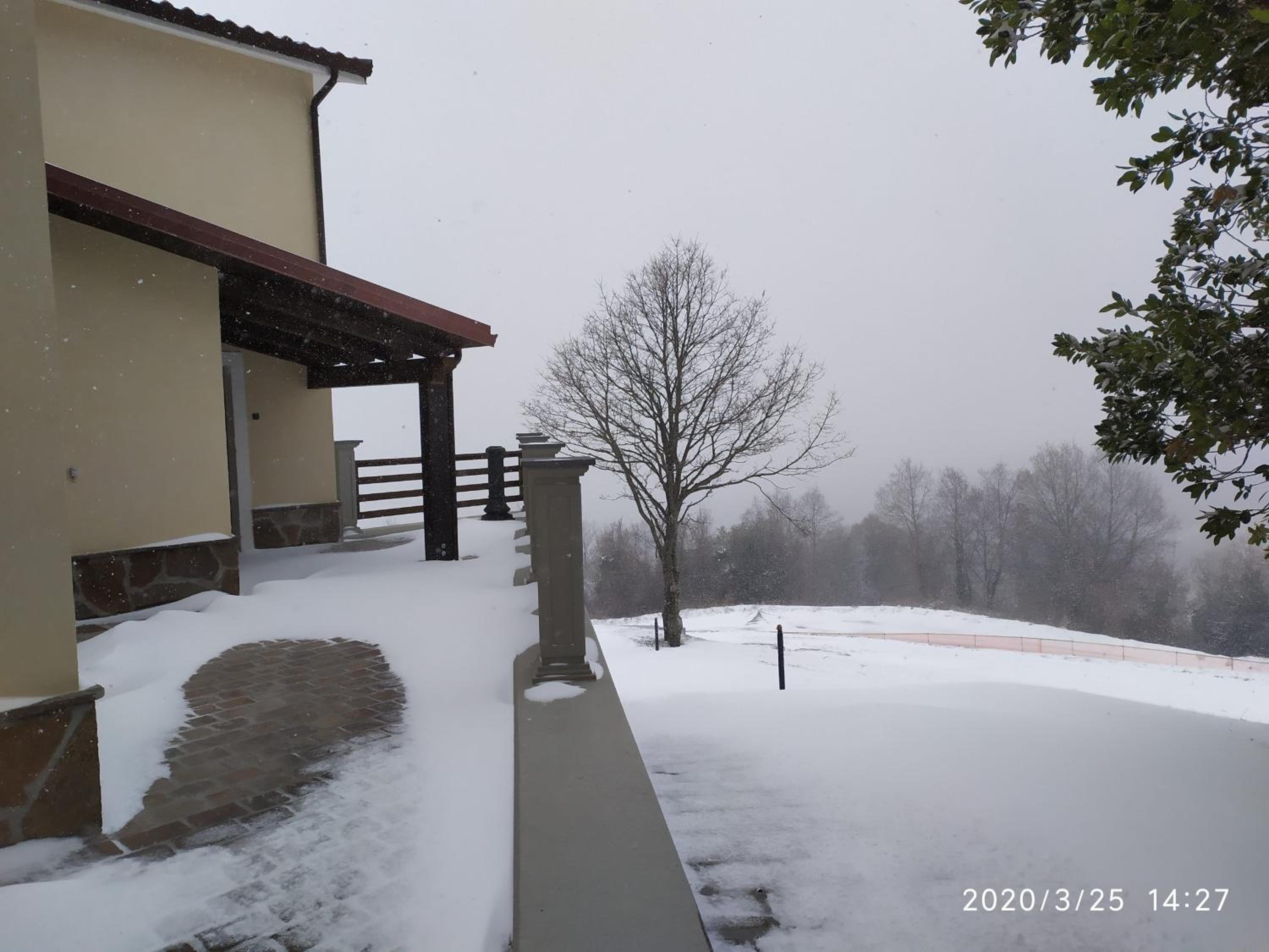 Photo 43