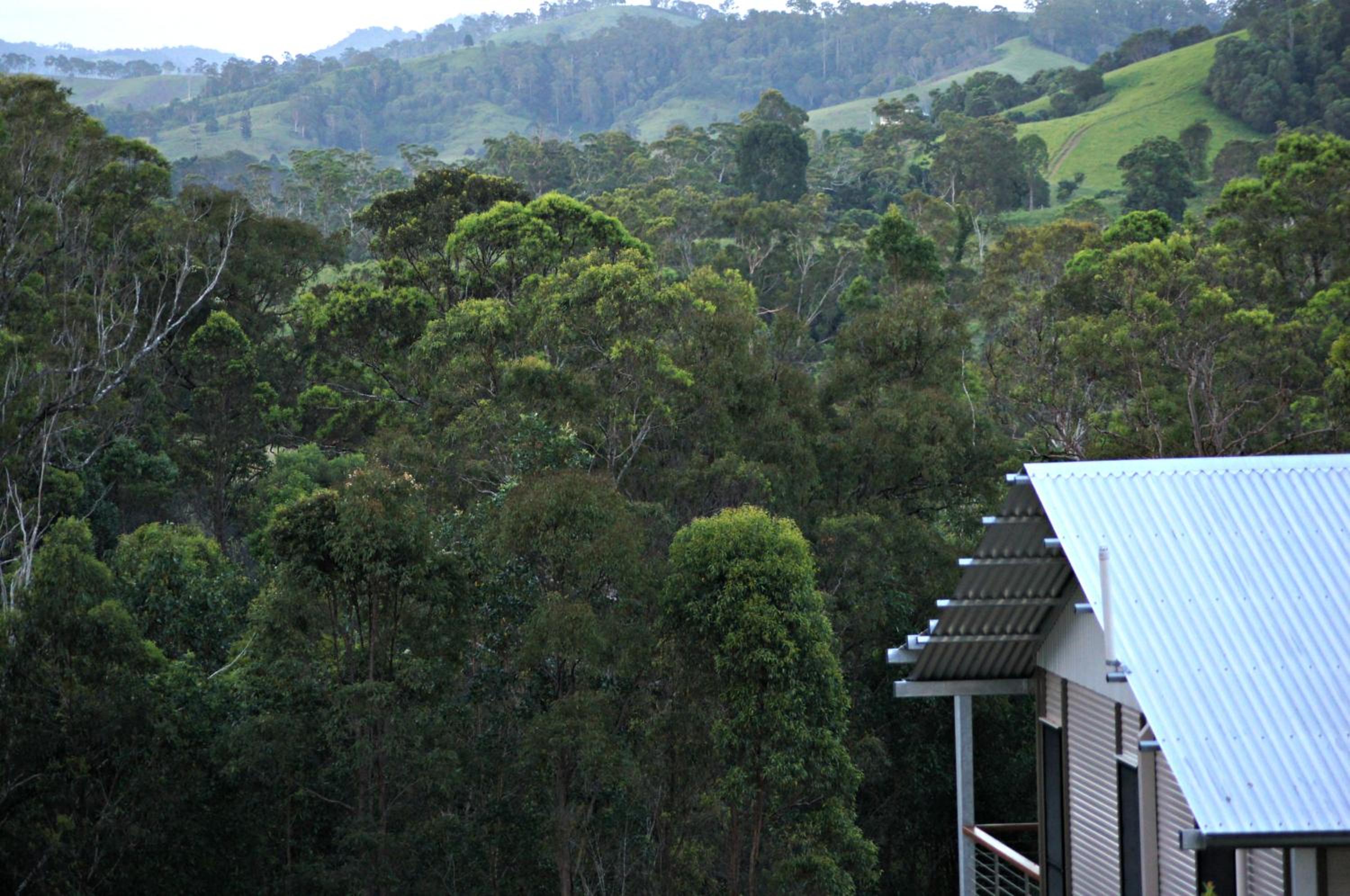 Melawondi Spring Retreat