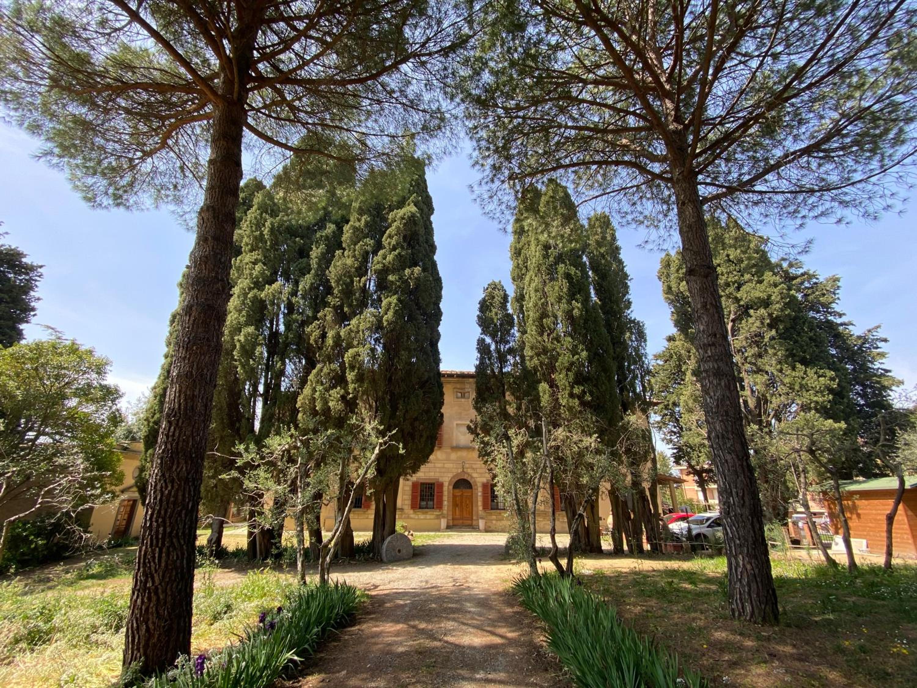 Photo 19