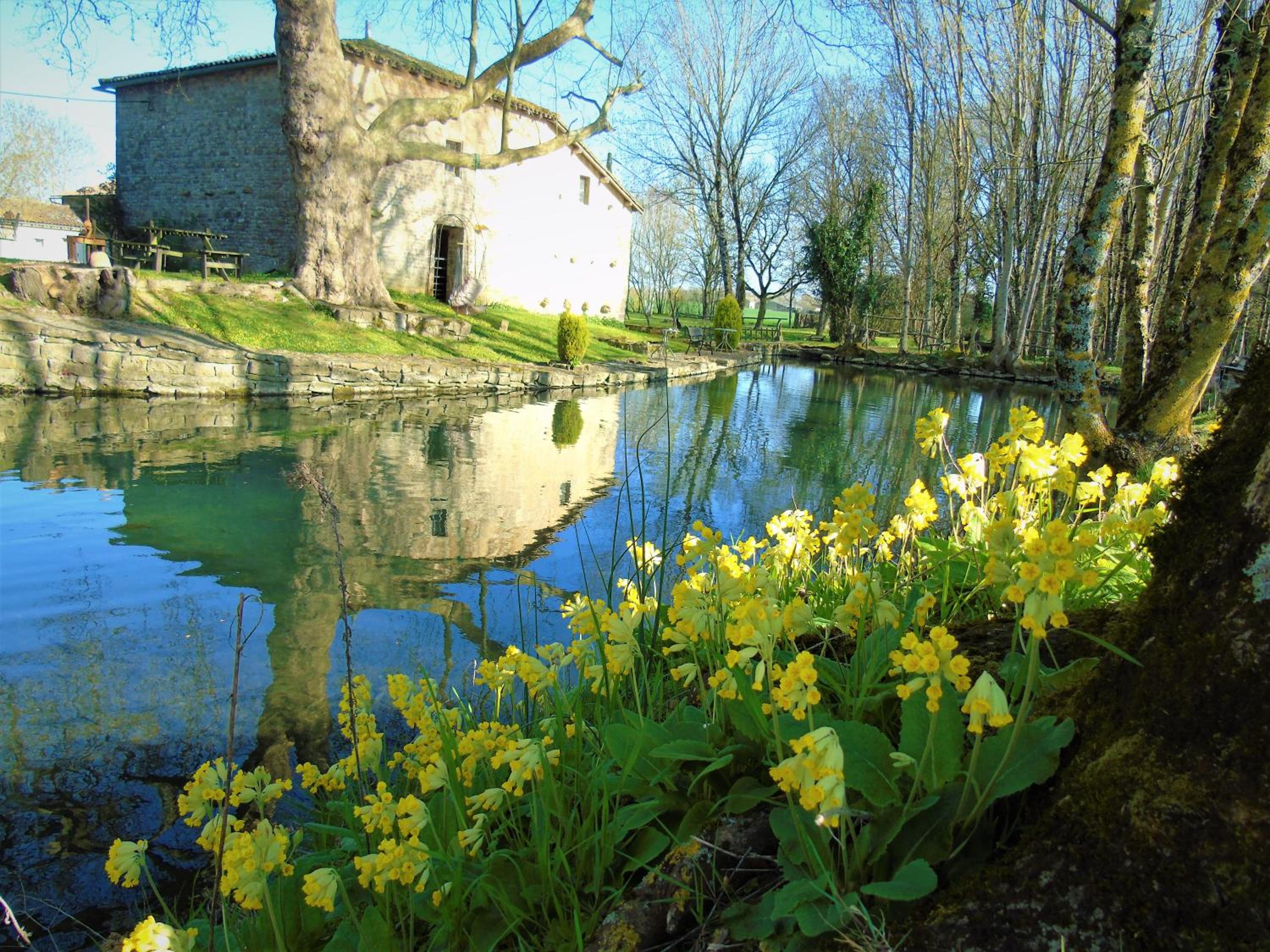 Le Petit Moulin Tournesol BnB view 5