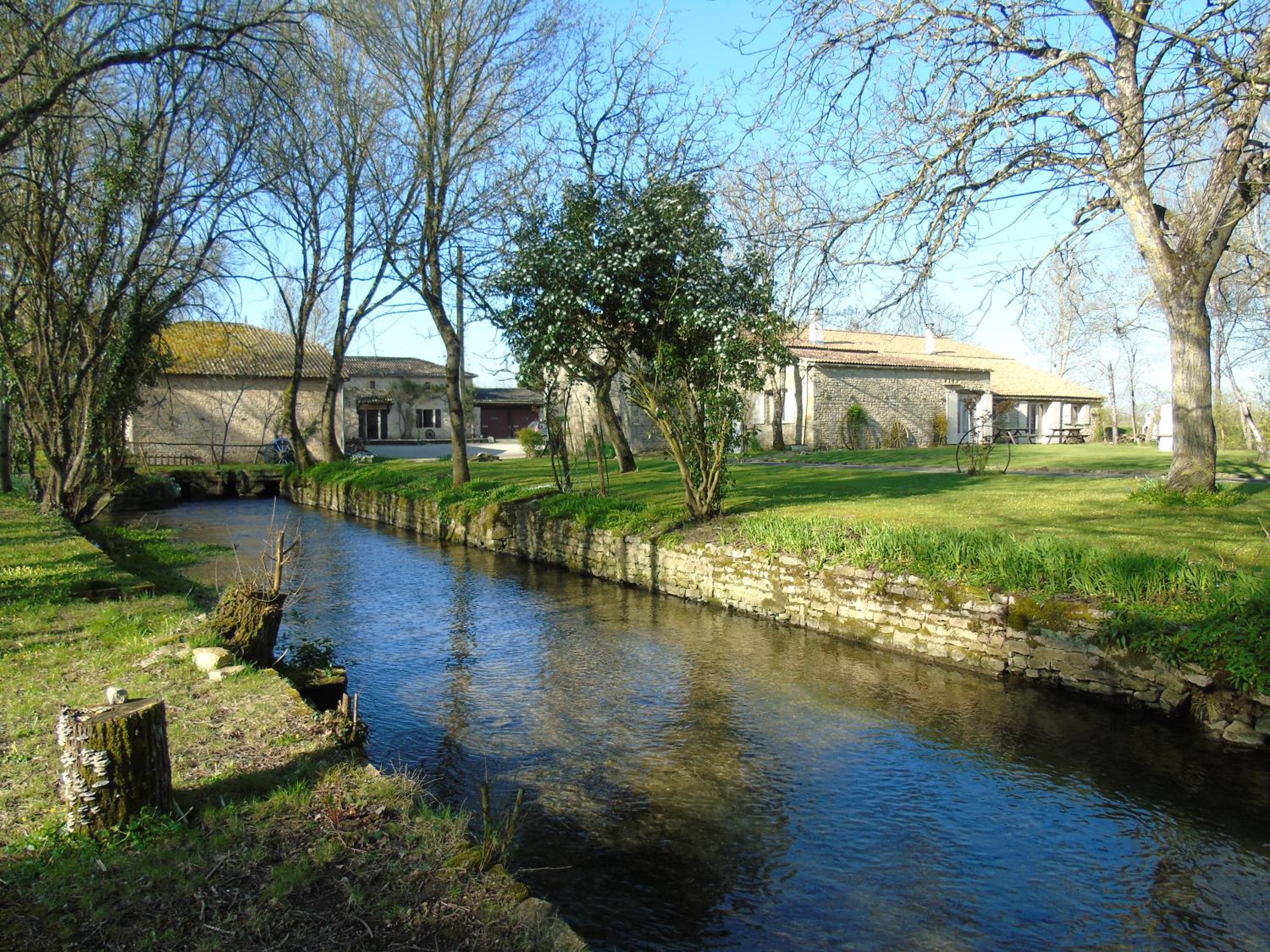 Photo 17