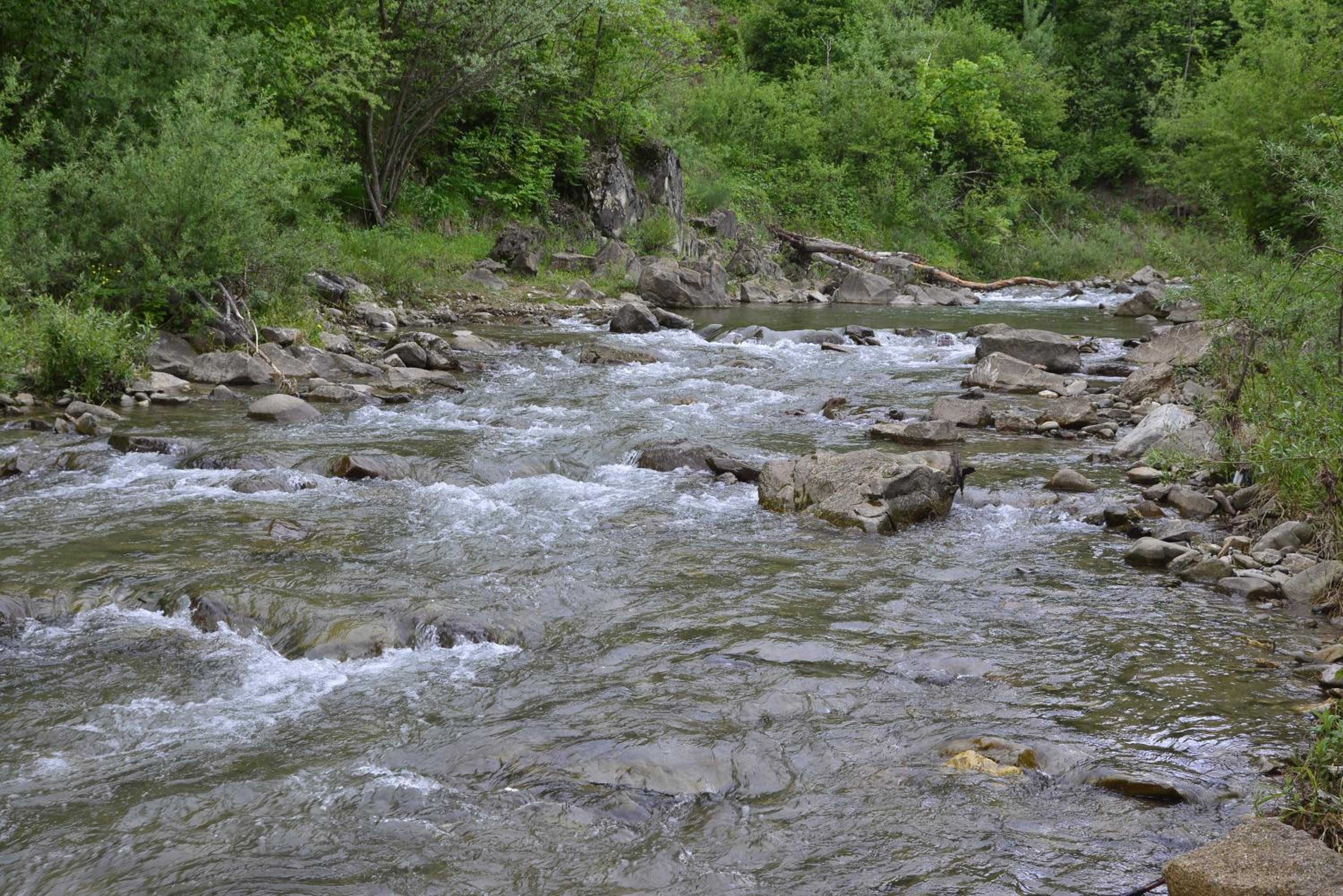 Photo 28
