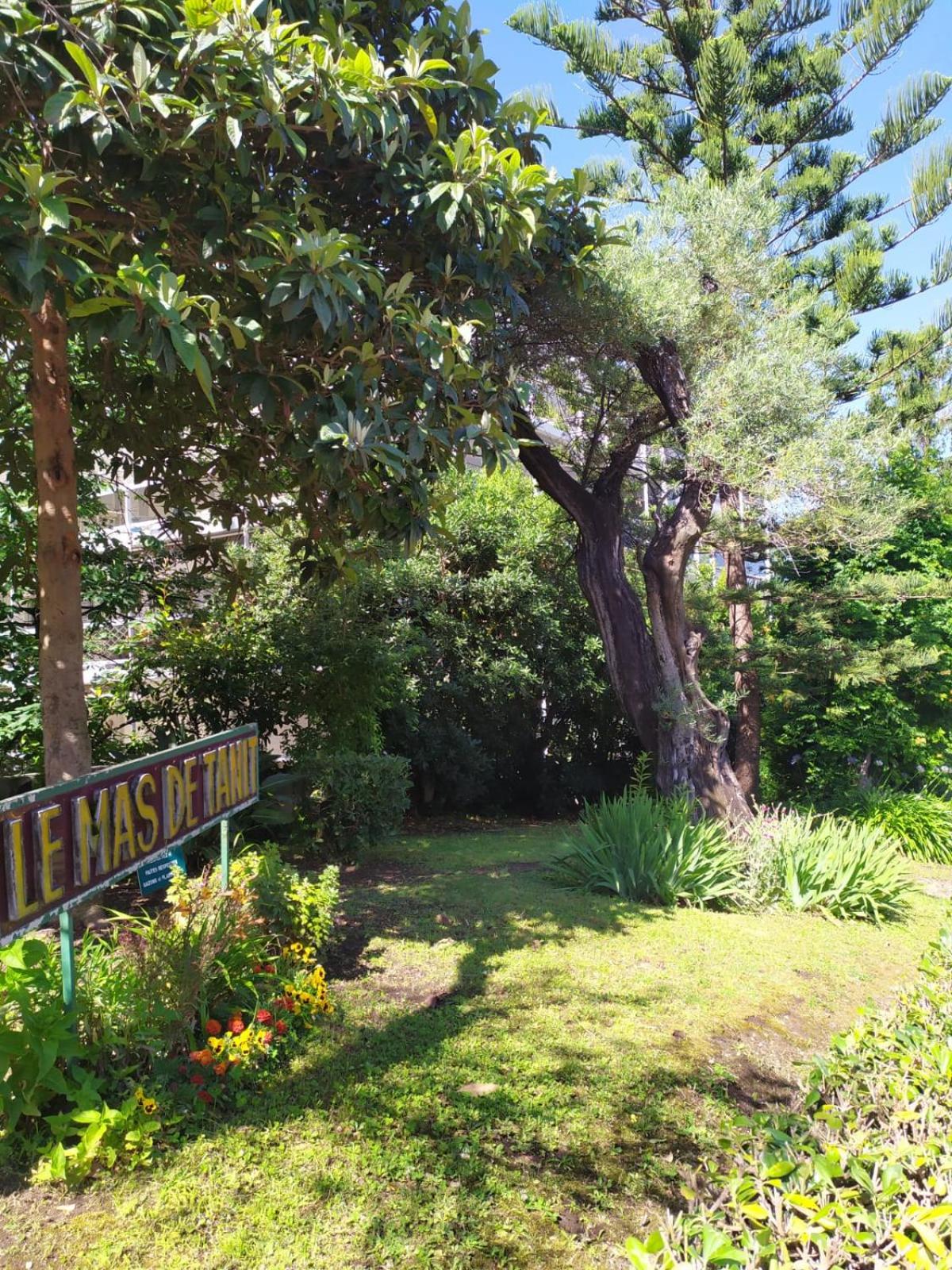 logement climatisé à Juan les Pins dans résidence avec piscine photo 2