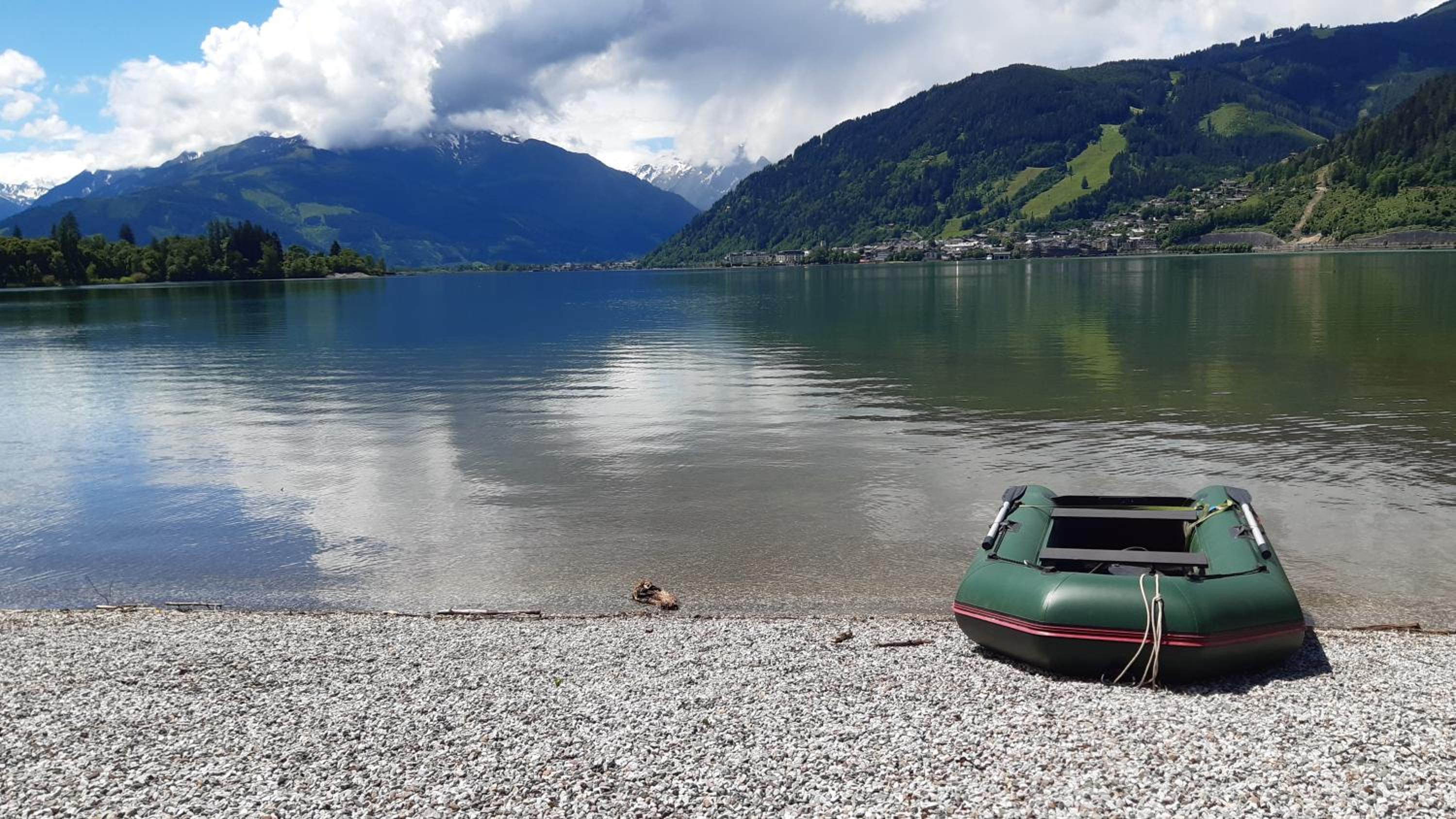 Wildente am See