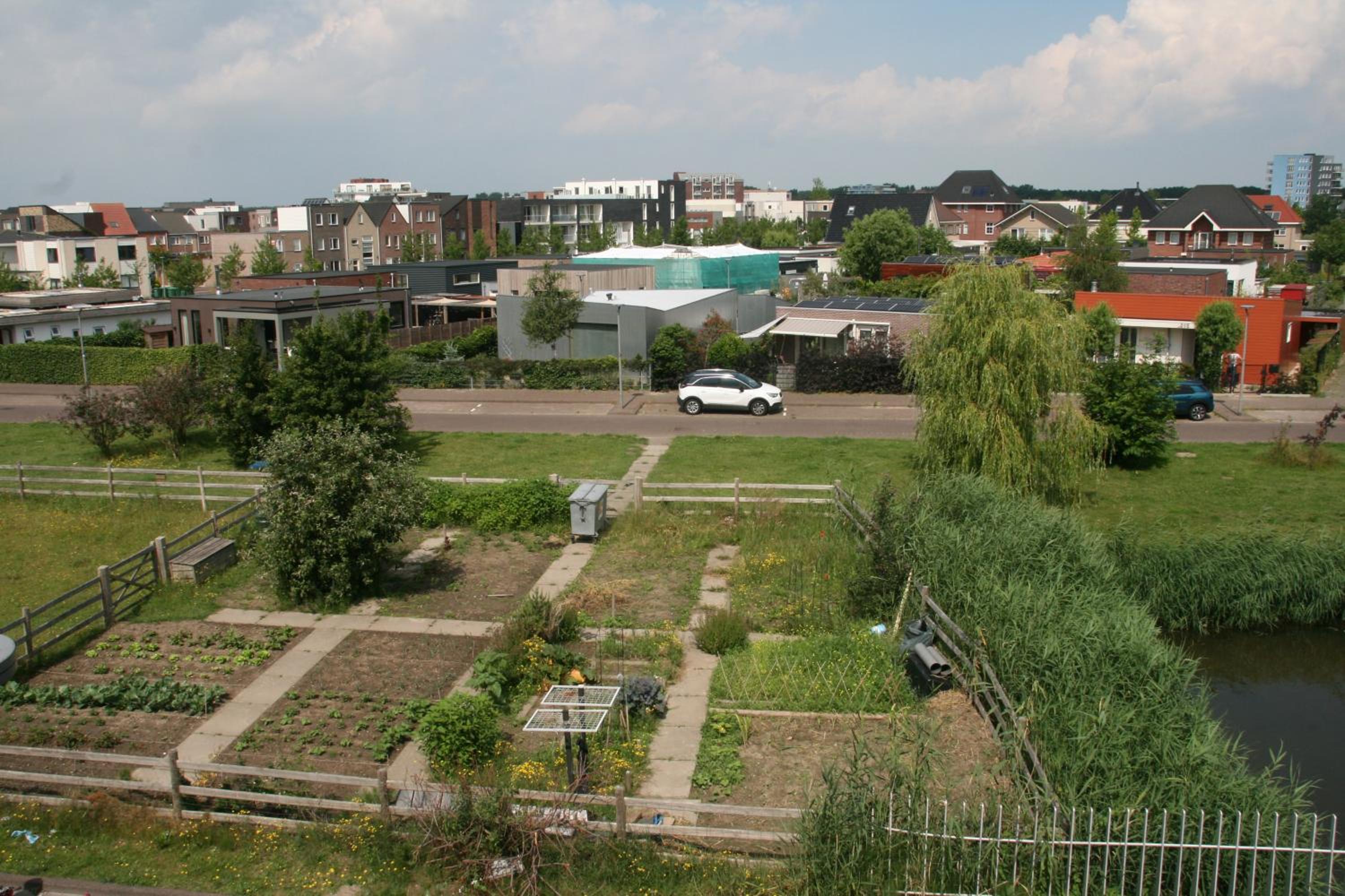 Photo 16