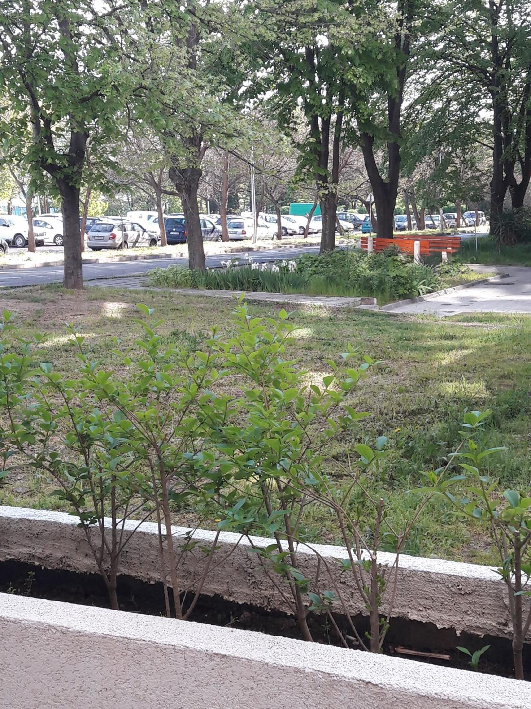 Апартамент Оскар