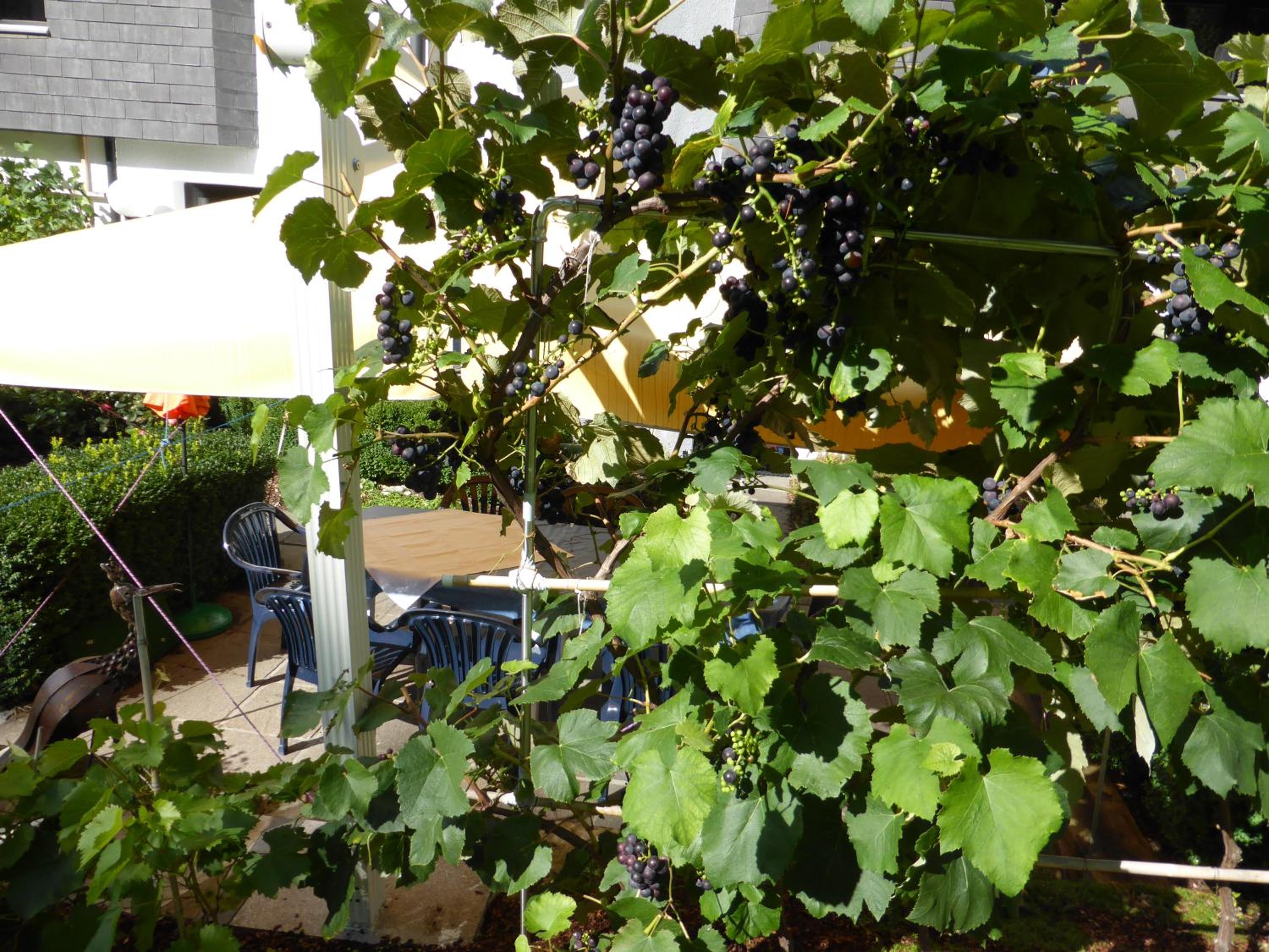 Photo 46