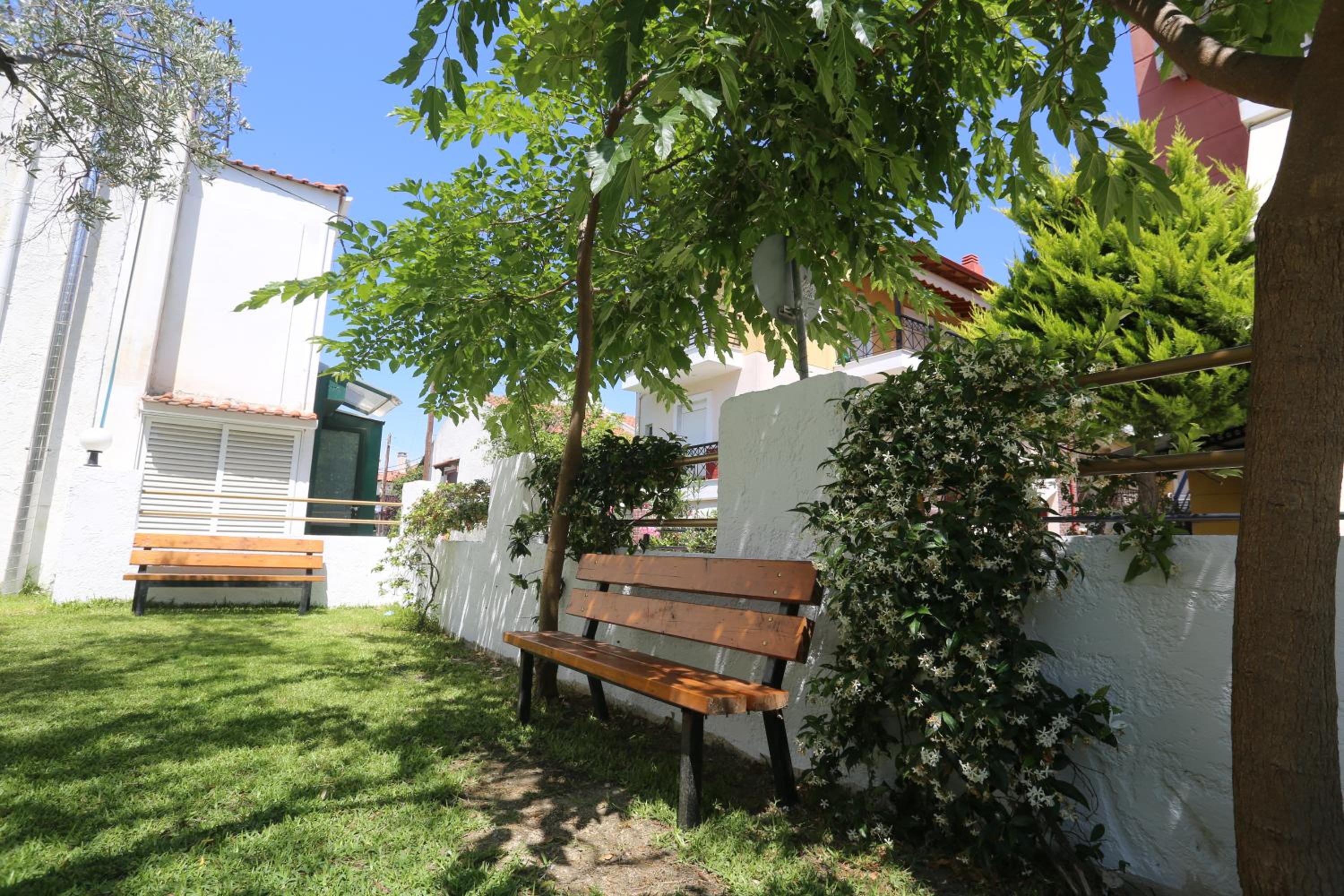 Photo 11