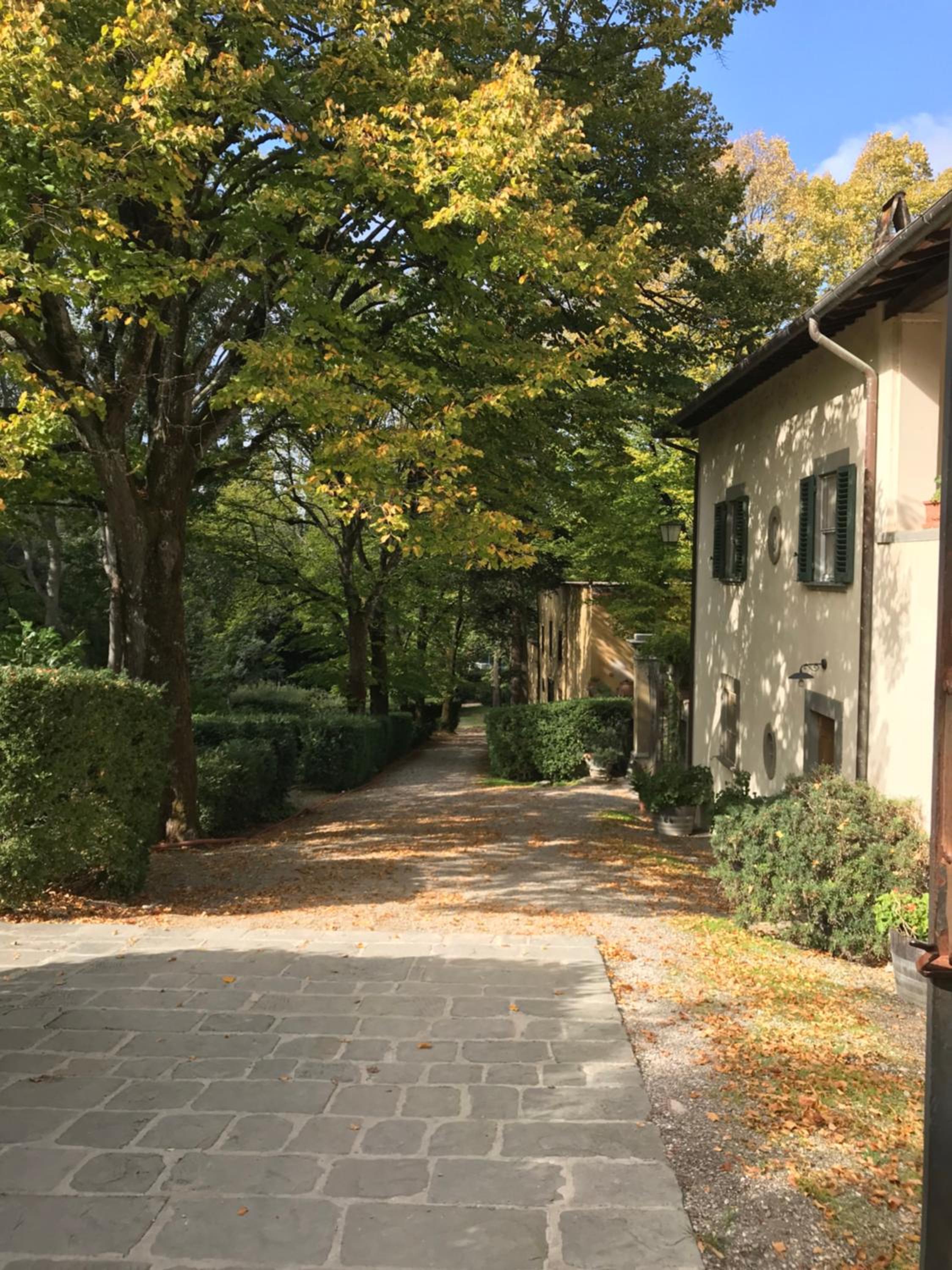 Agriturismo La Fattoria di Capezzana, photo 28