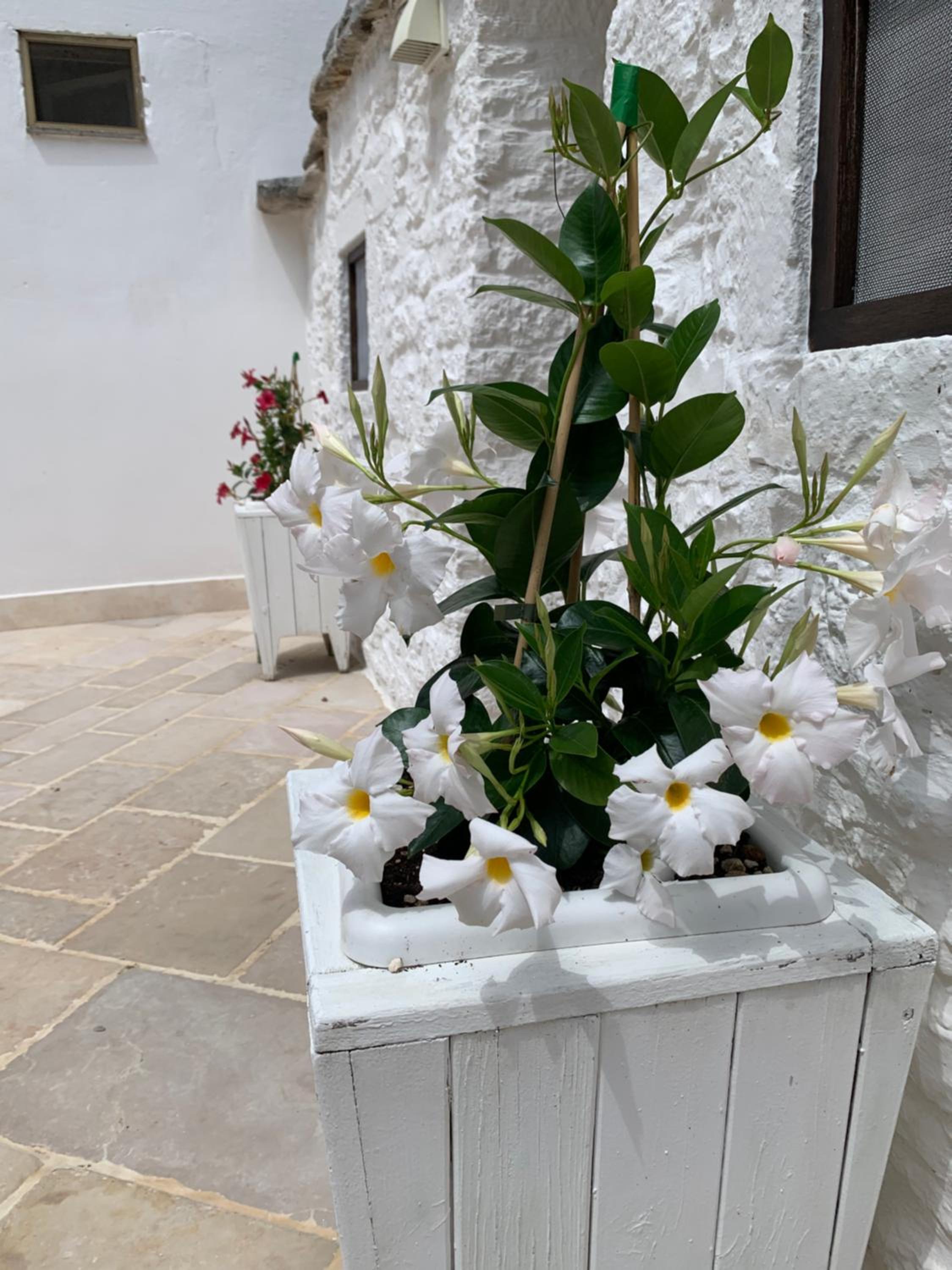 Trulli Family - Trulli&Cummerse