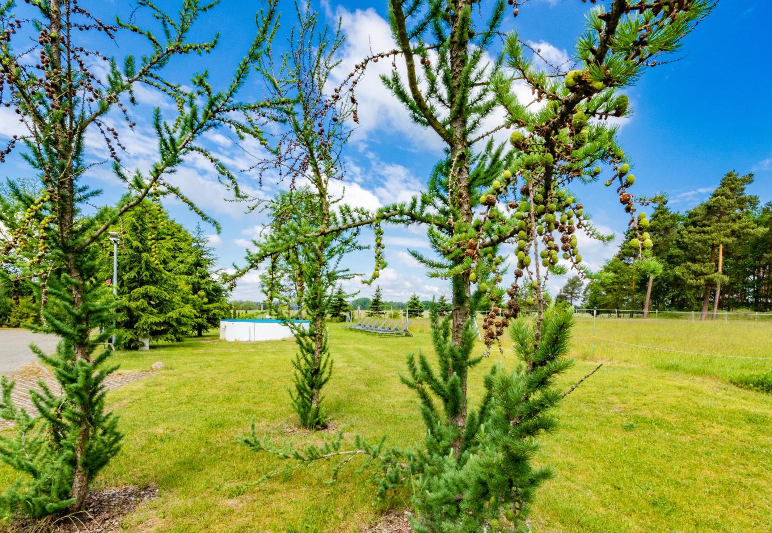 Pension zum Reiterhof