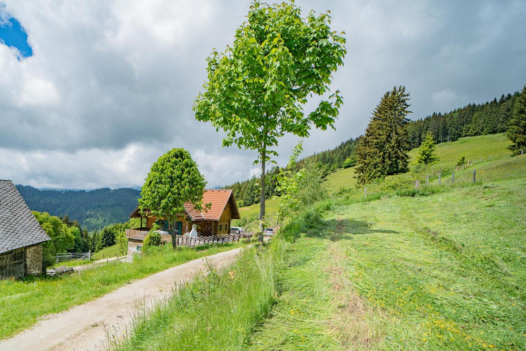 Kogljahrerhütte