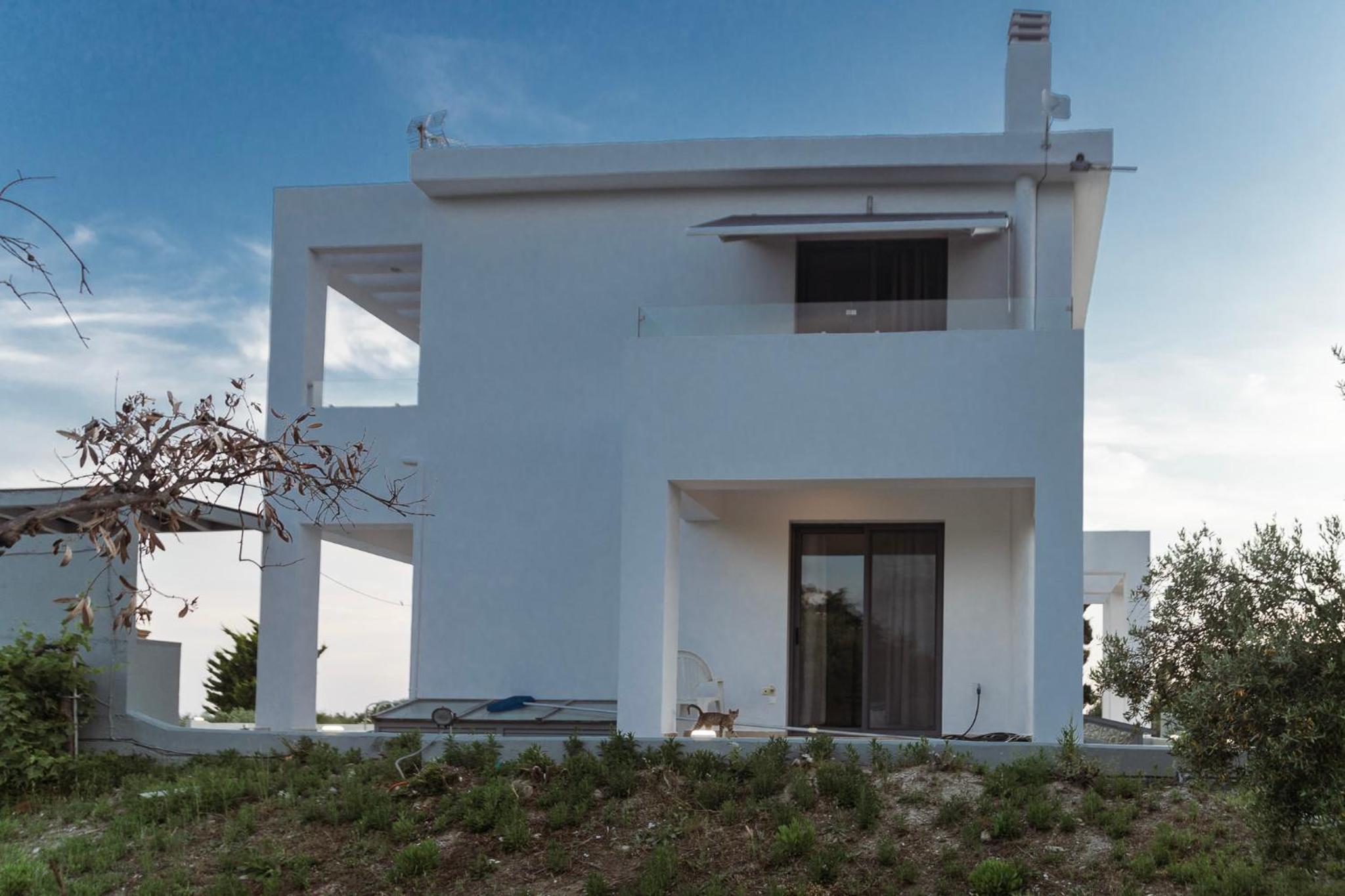 Photo 35
