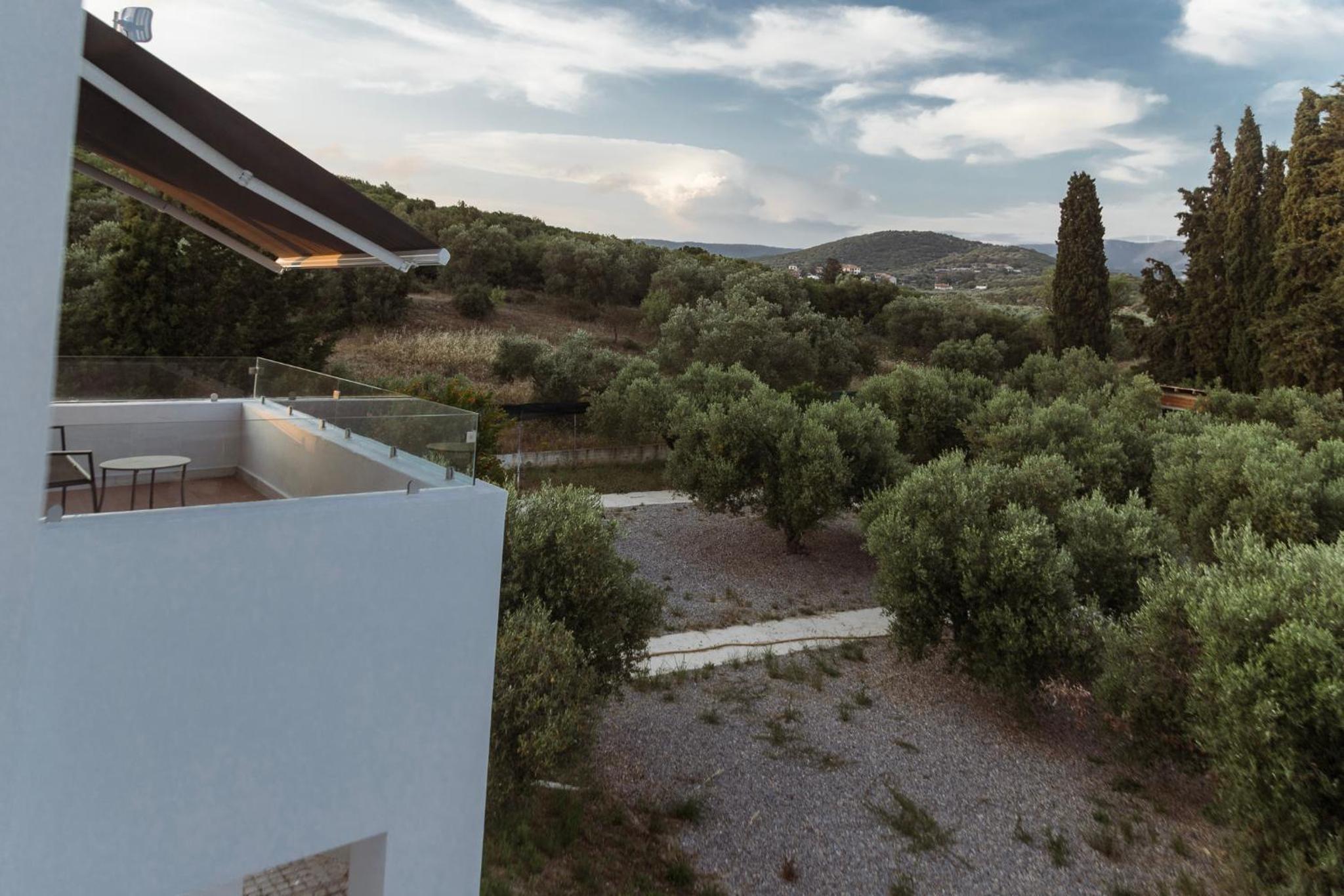 Olive View Villa view 2
