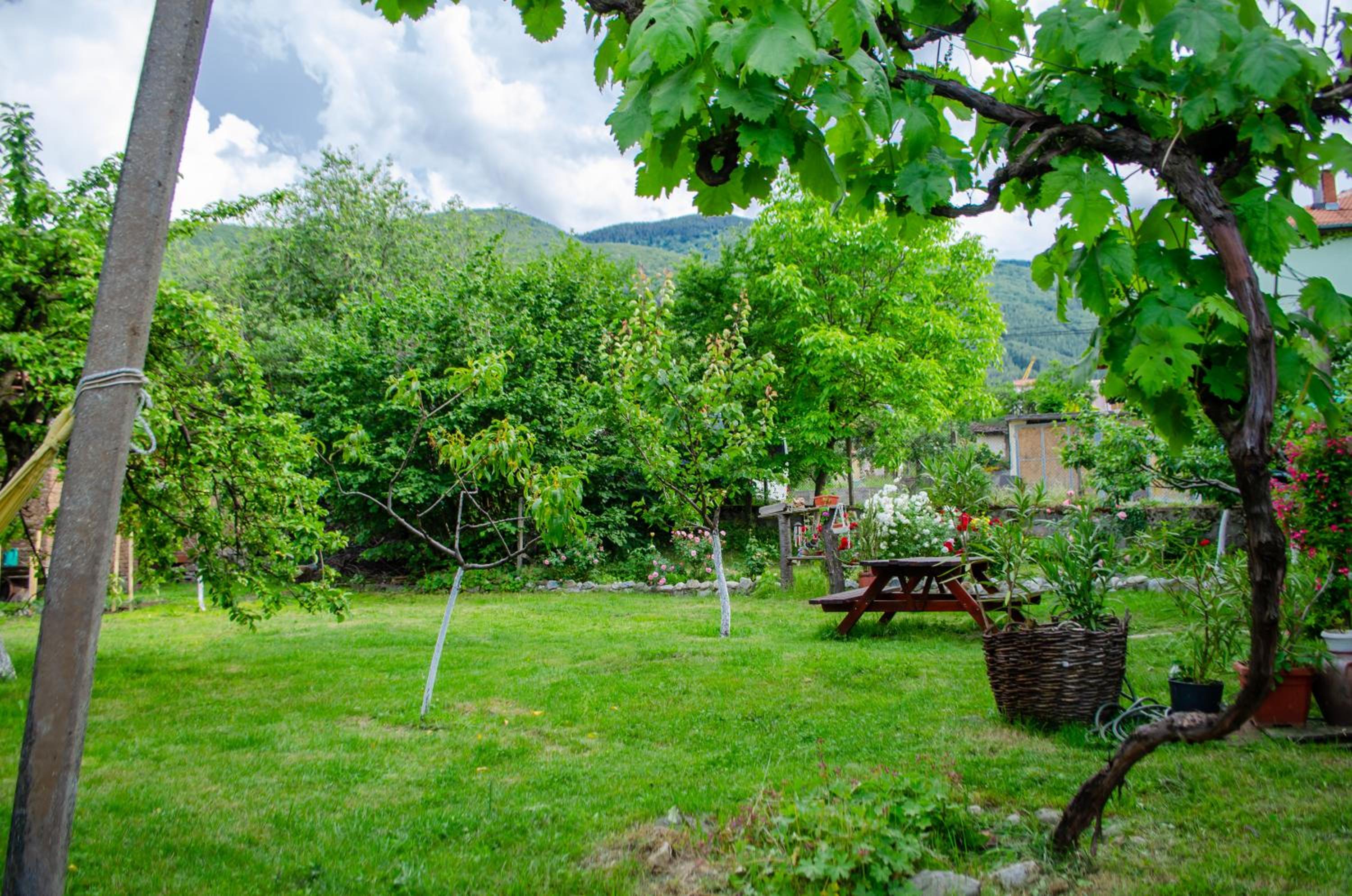 Danailovi Guest House
