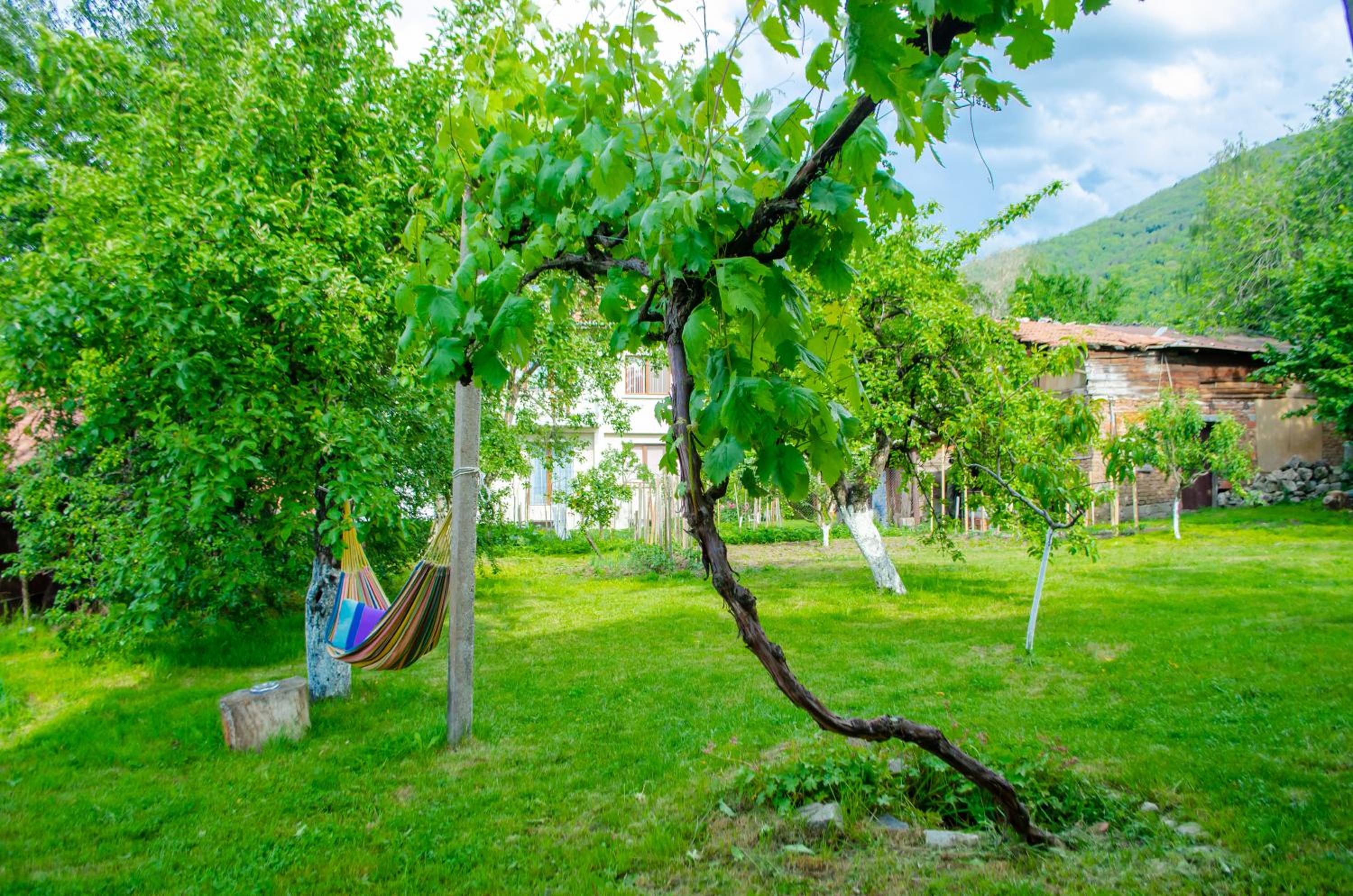 Danailovi Guest House