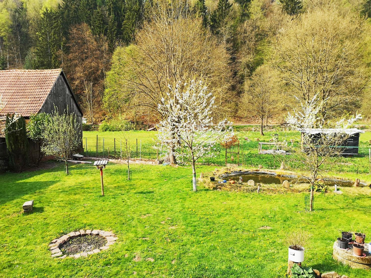 Photo 13