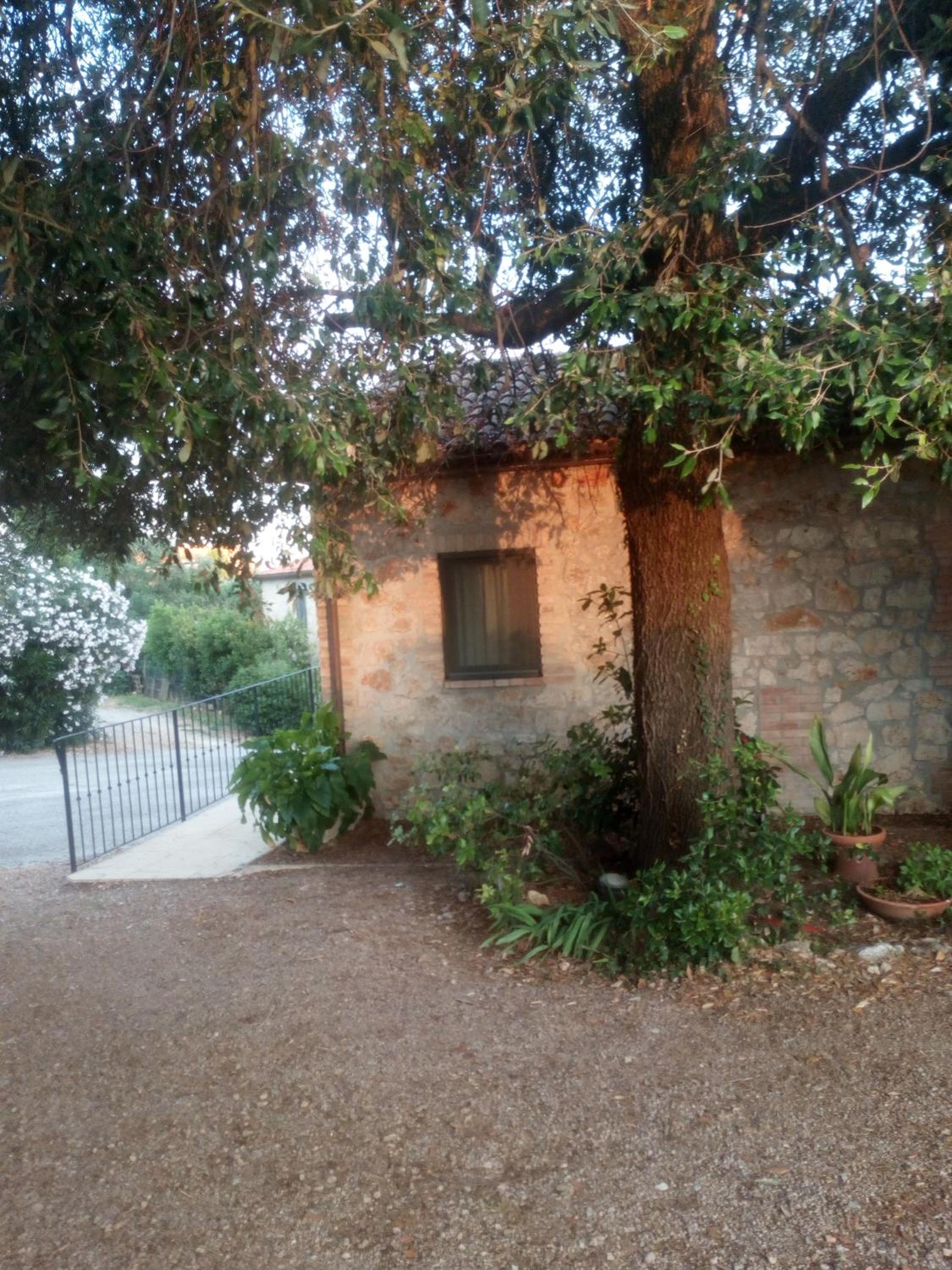 Photo 38