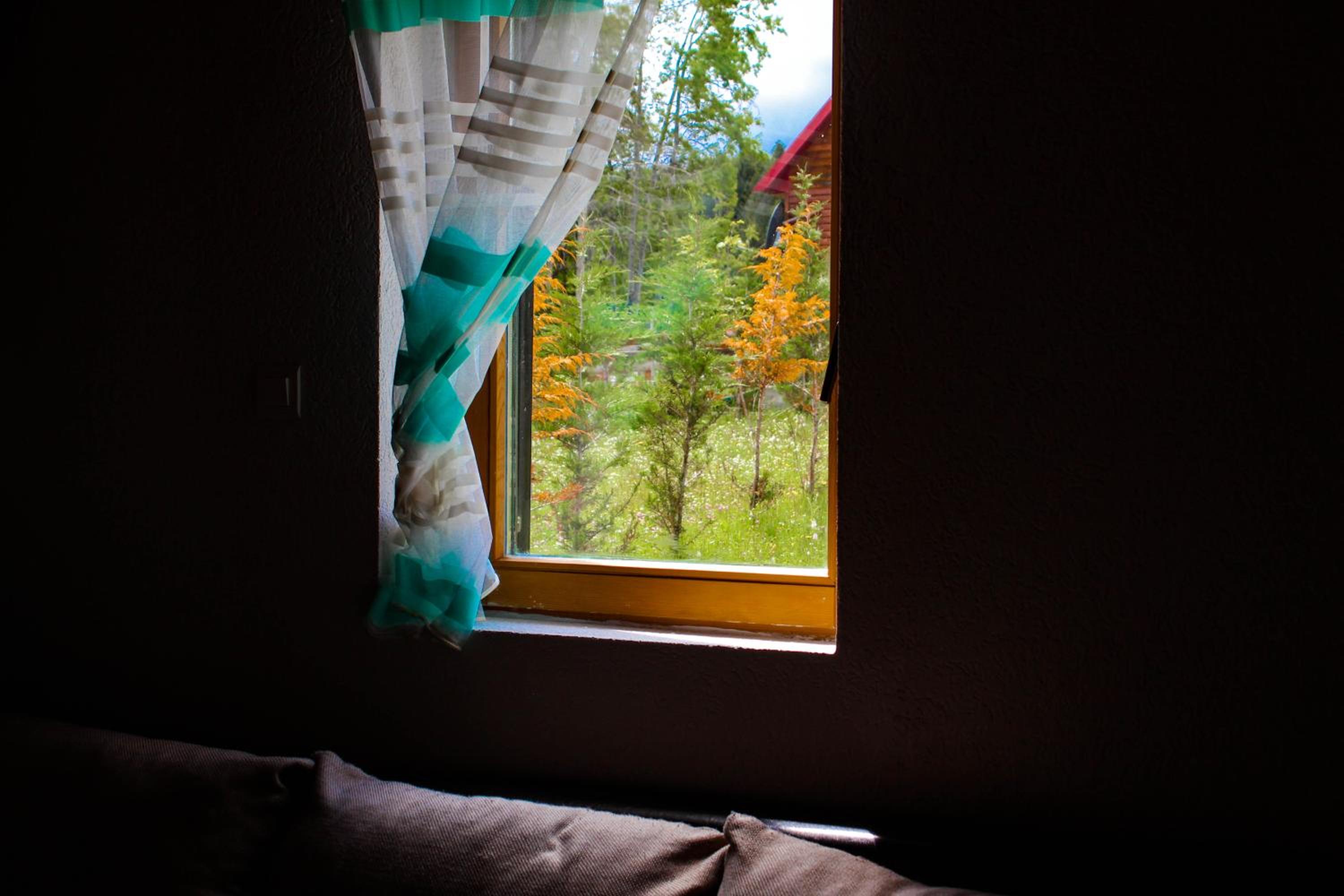 Photo 52
