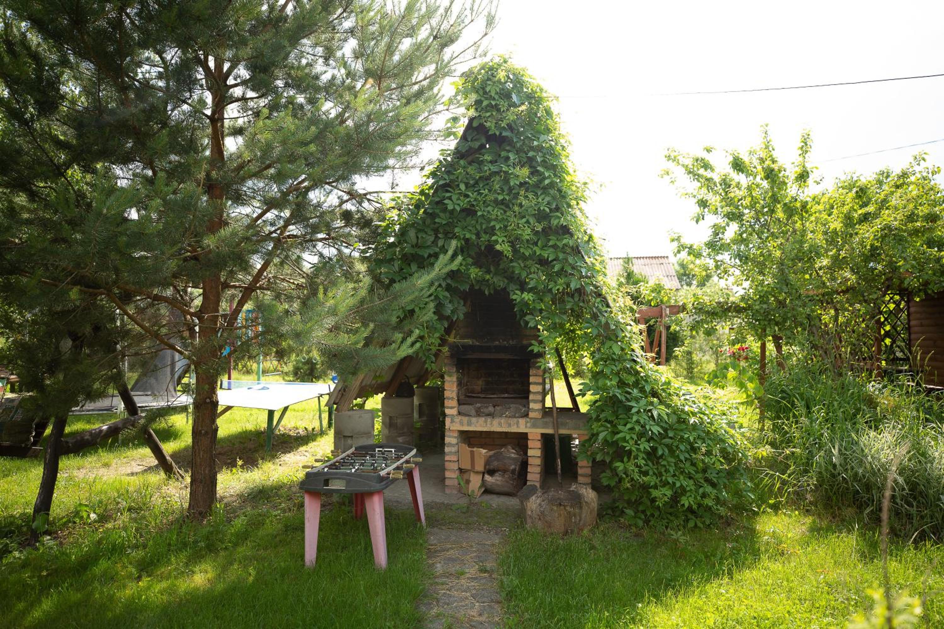 Photo 19