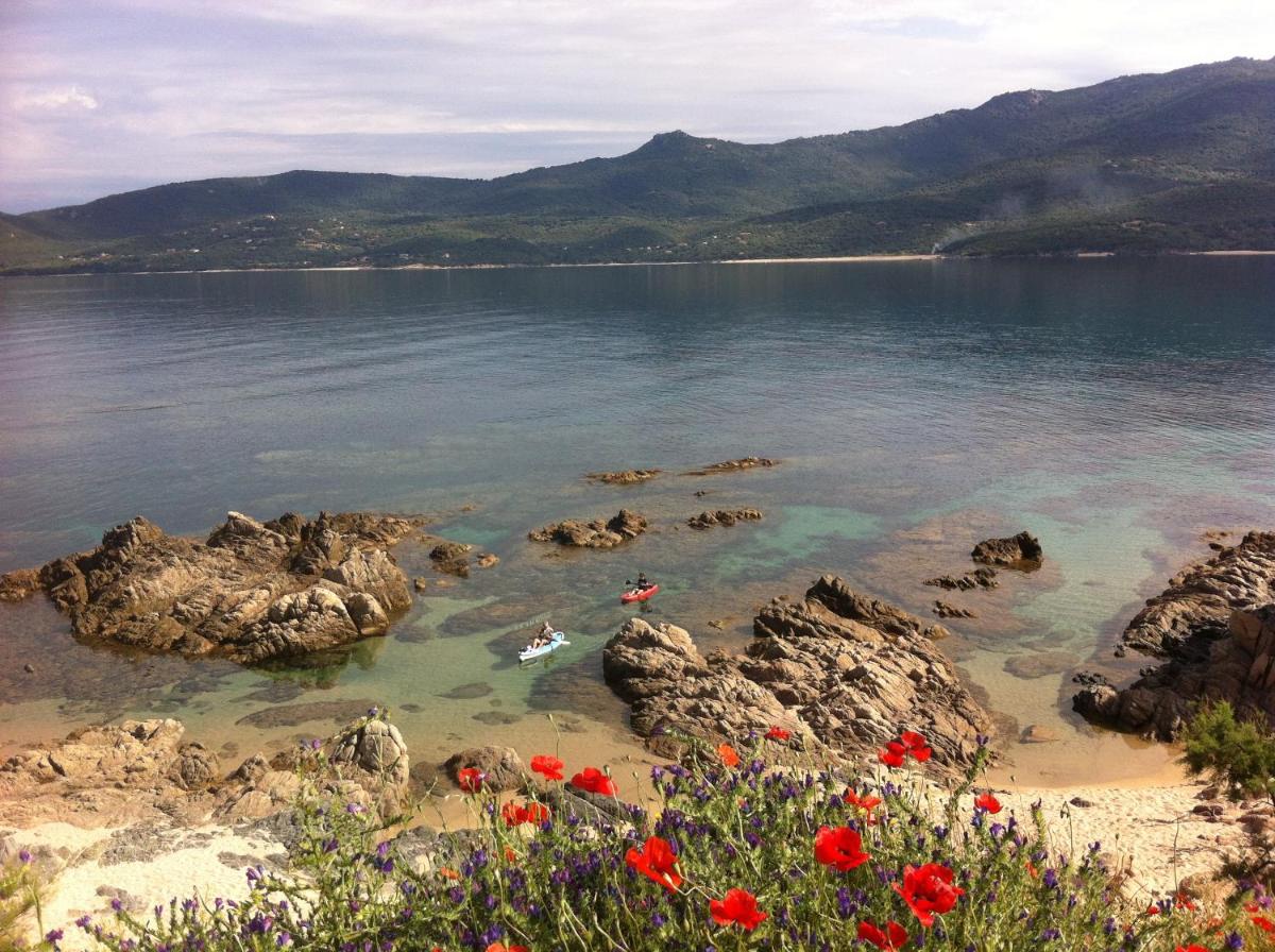 Photo 45