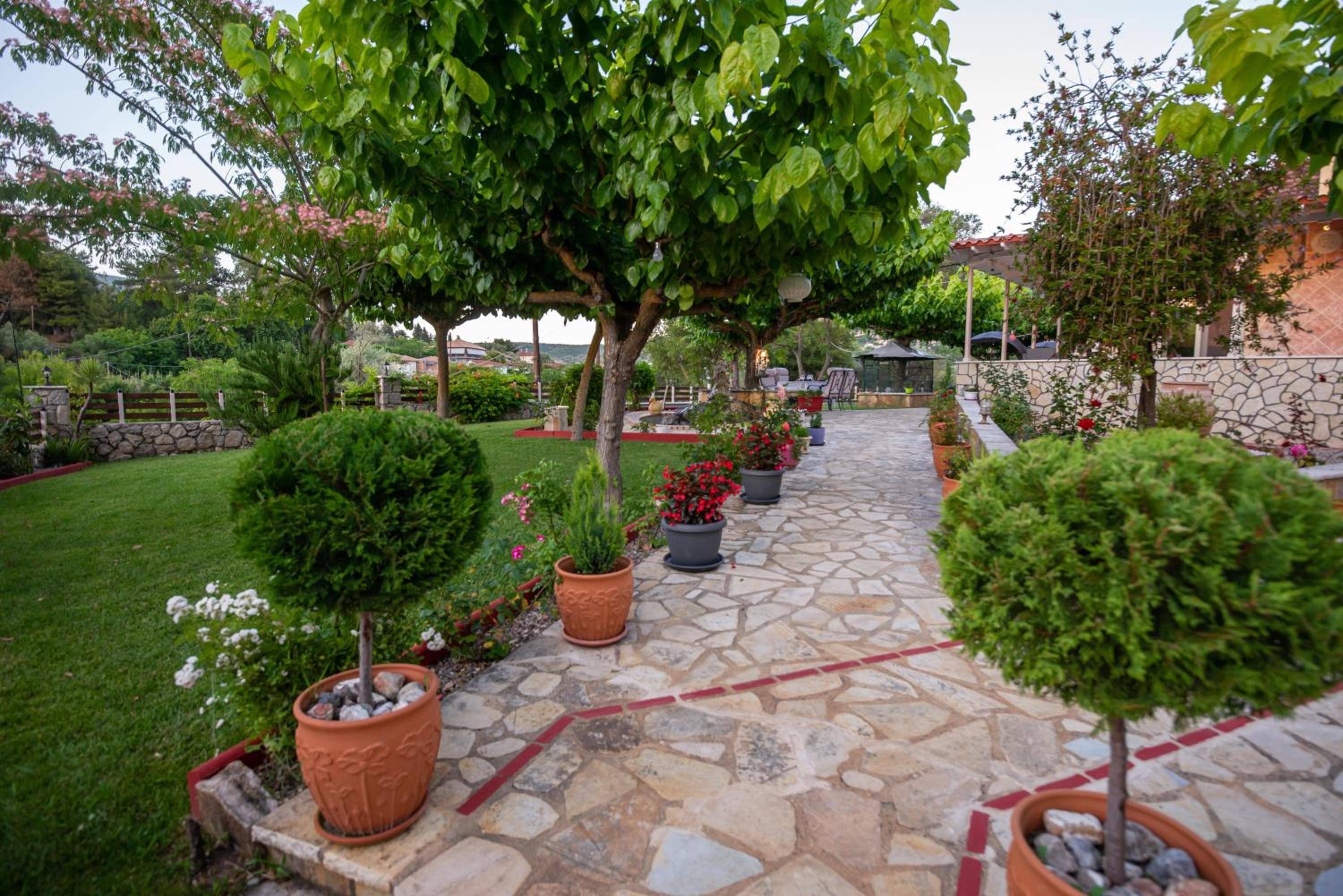 Photo 14